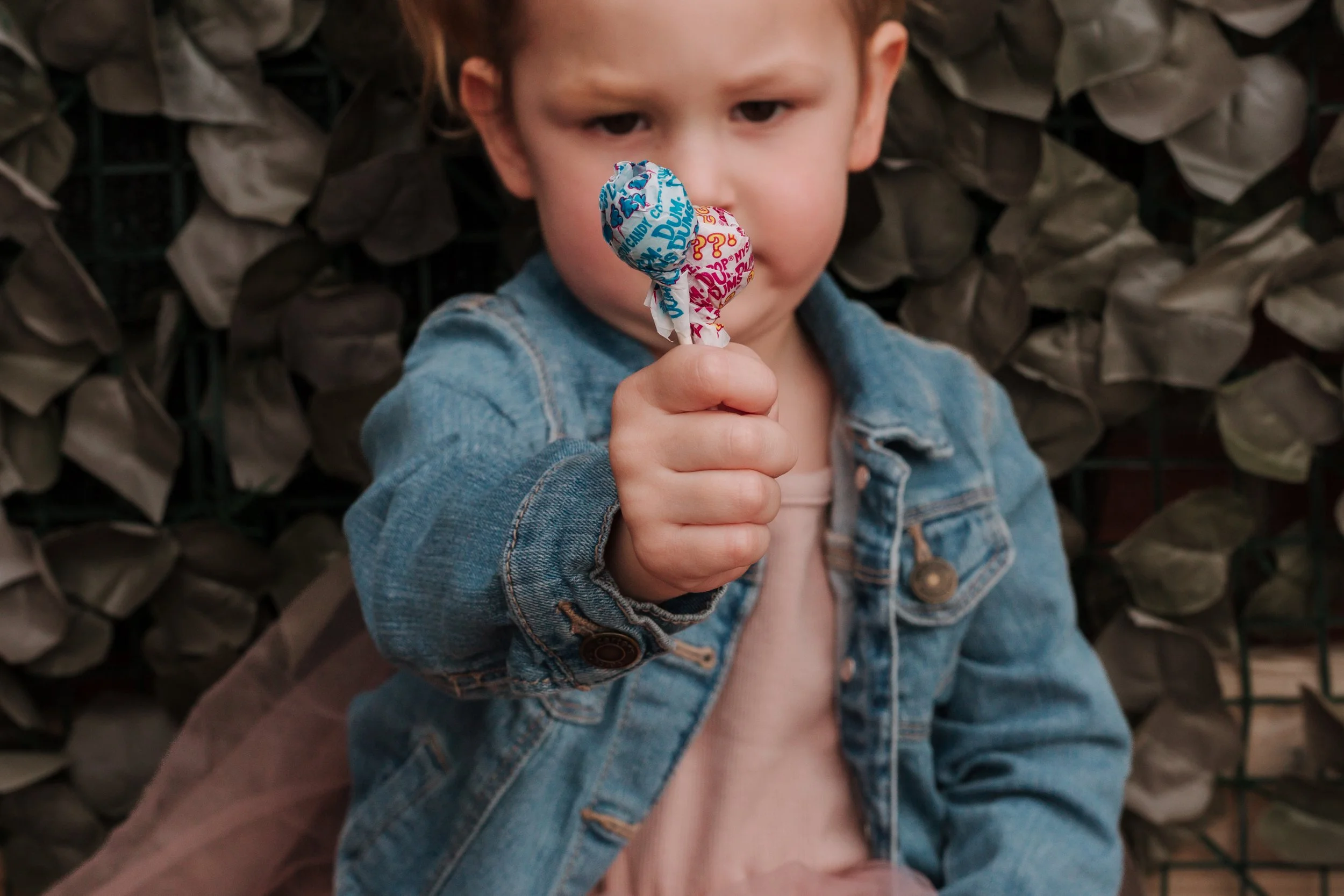 Foote Fam 2023-35.jpg