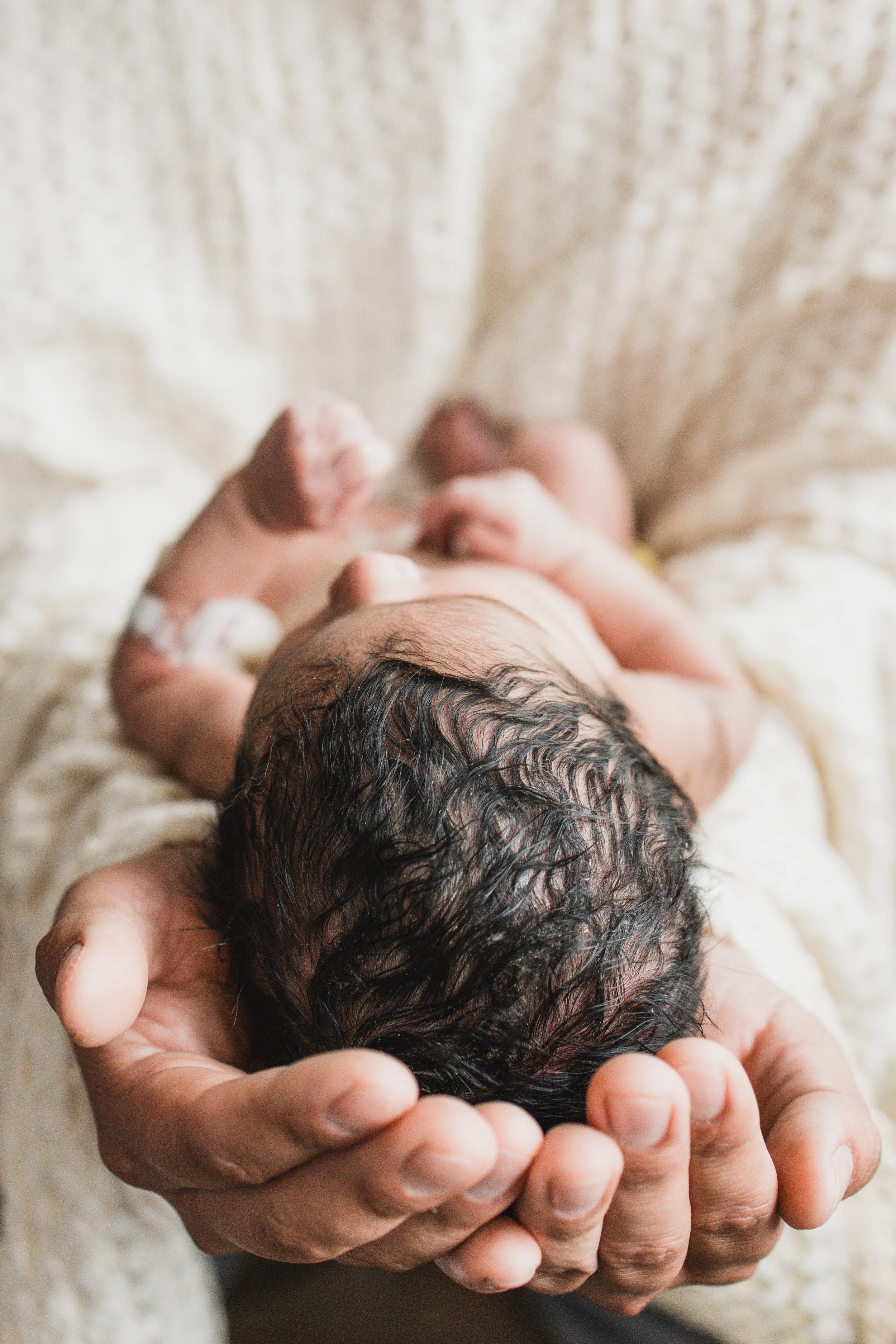 DS Fresh 48 2025-14.jpg