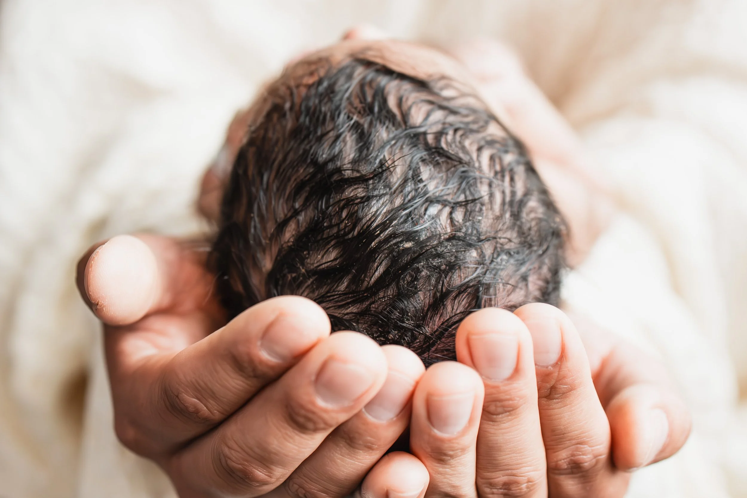 DS Fresh 48 2025-13.jpg