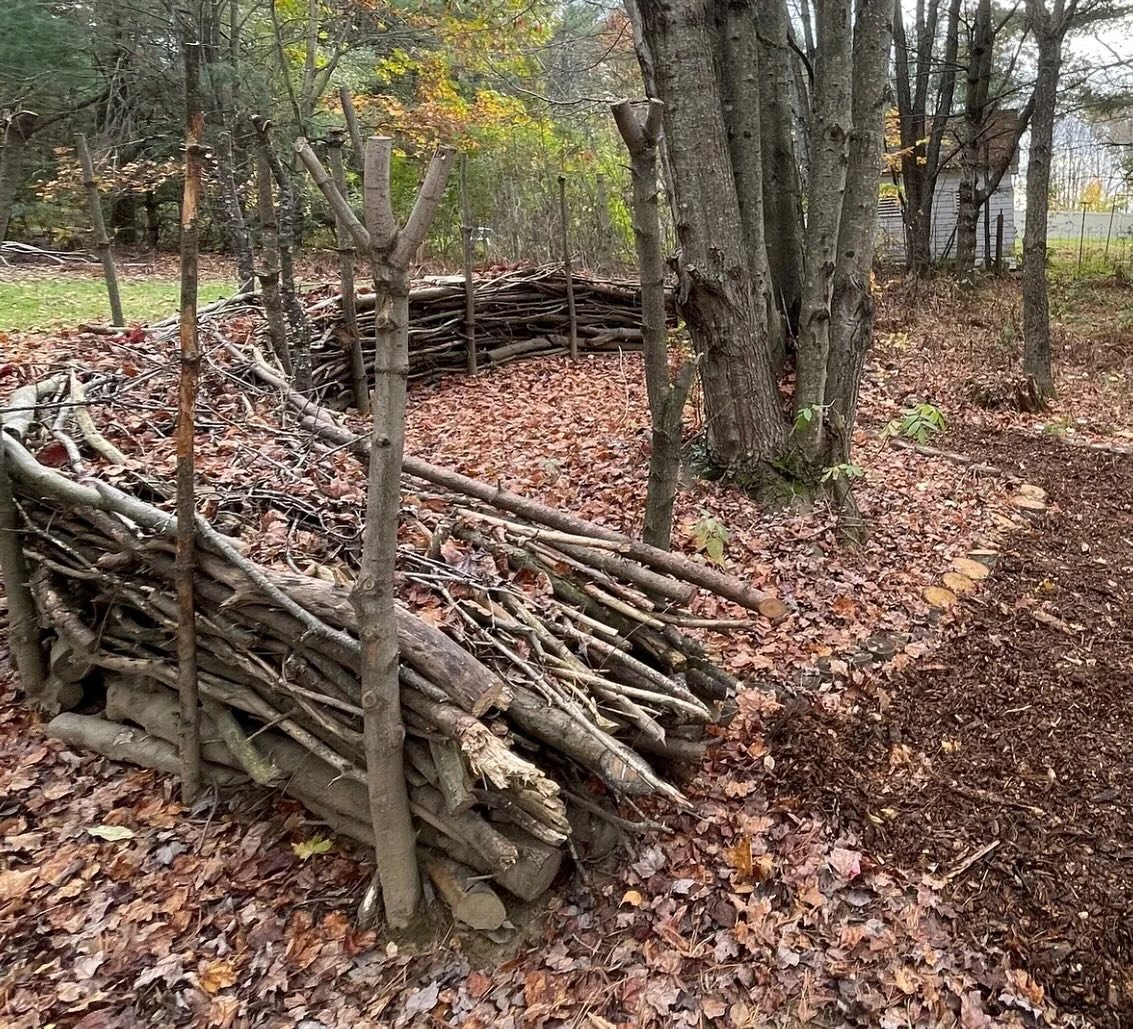 This attractive #deadhedge is an older relative of English hedgerows. What a fabulous way to use sticks lying about the garden to house pollinators and small invertebrates over winter all the while creating art in the garden 🤩 #gardendesign #ecosyst