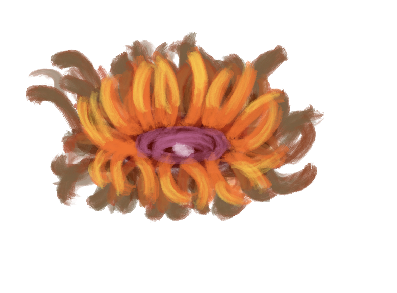 orange_anemone_.png