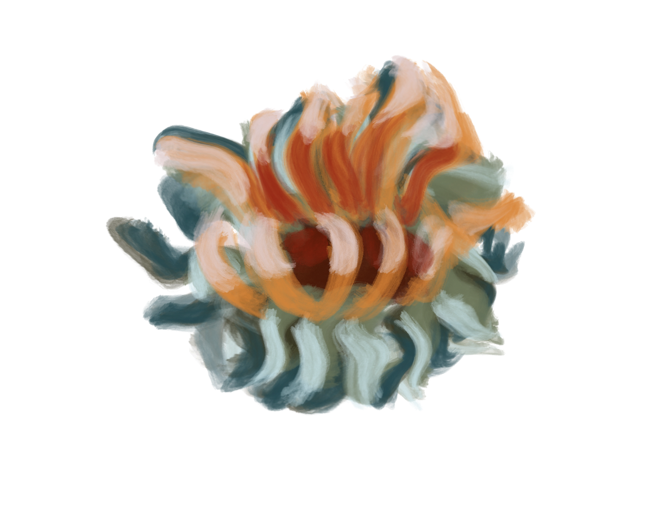 multicolor_anemone_.png