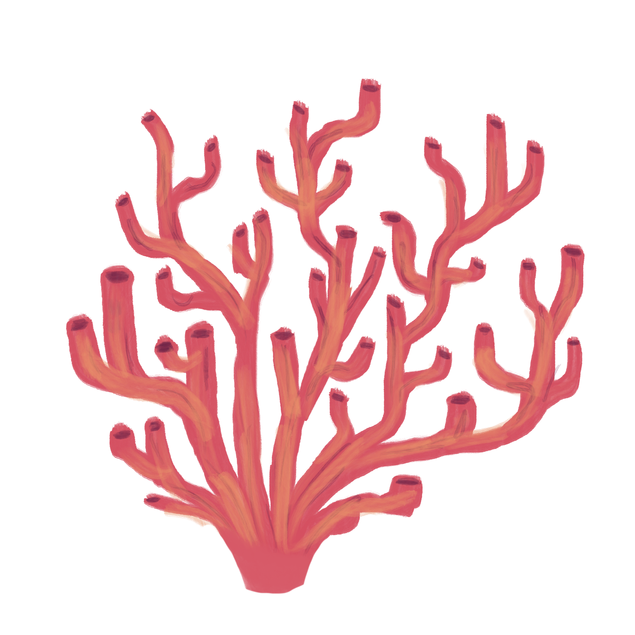 pink_coral.png
