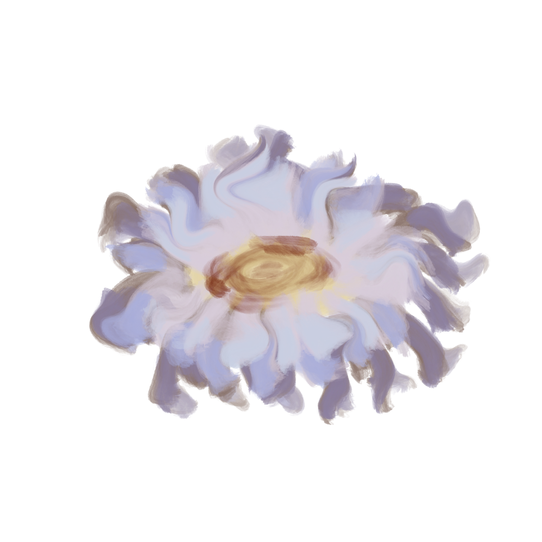 white_anemone_.png