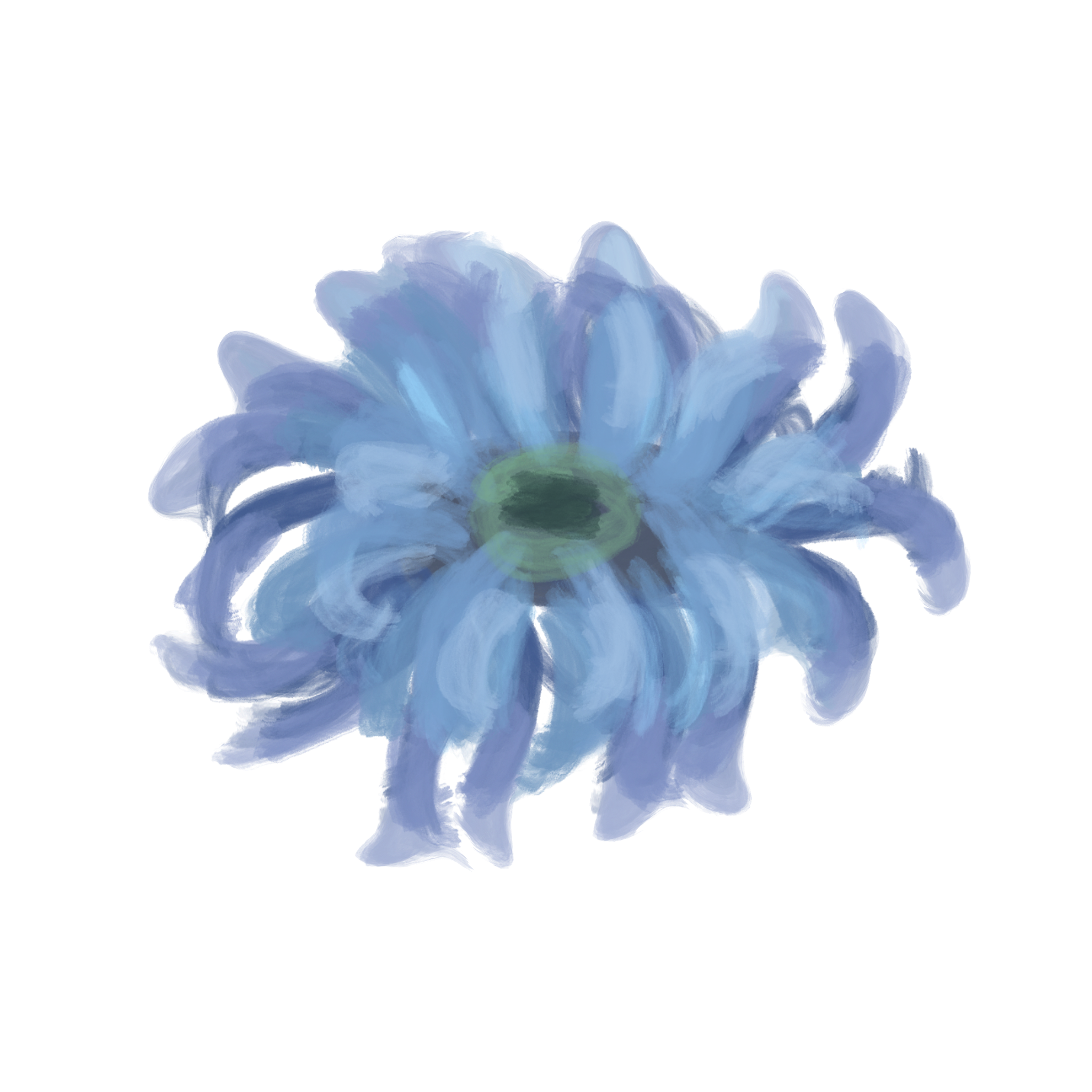 blue_anemone_.png