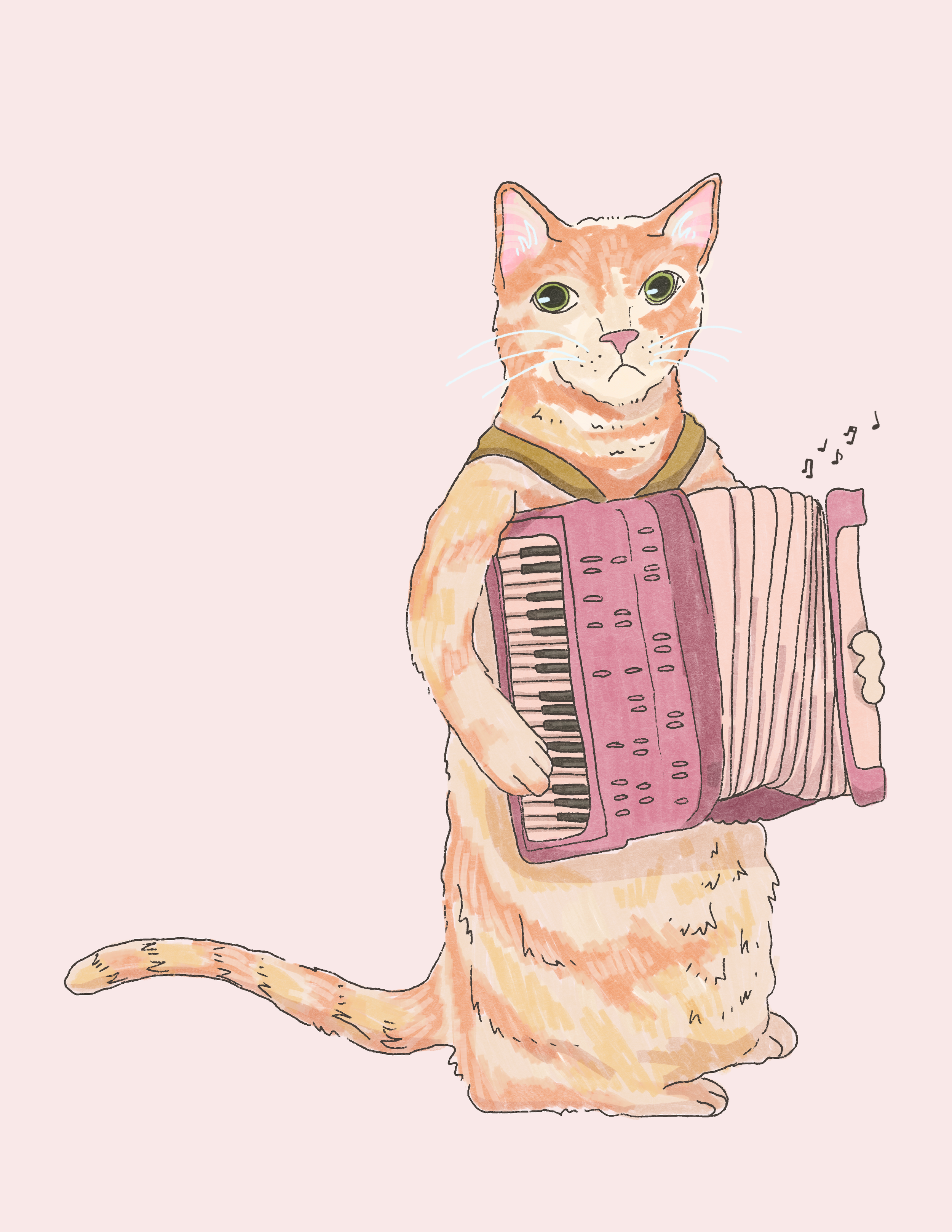 Accordion Cat - Digital Illustration Study