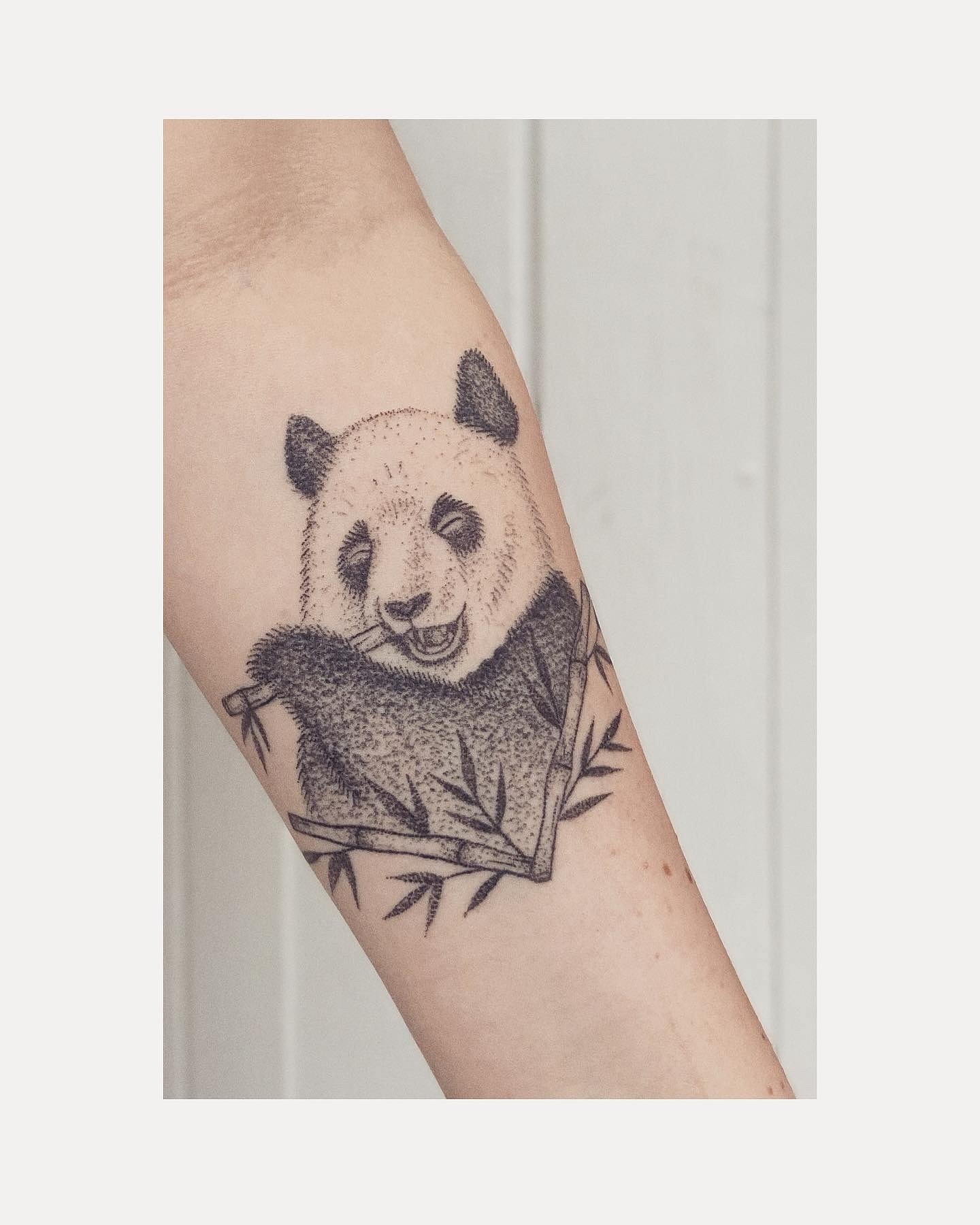 Some of my favorite animal tattoos - All Handpoked by me ✨