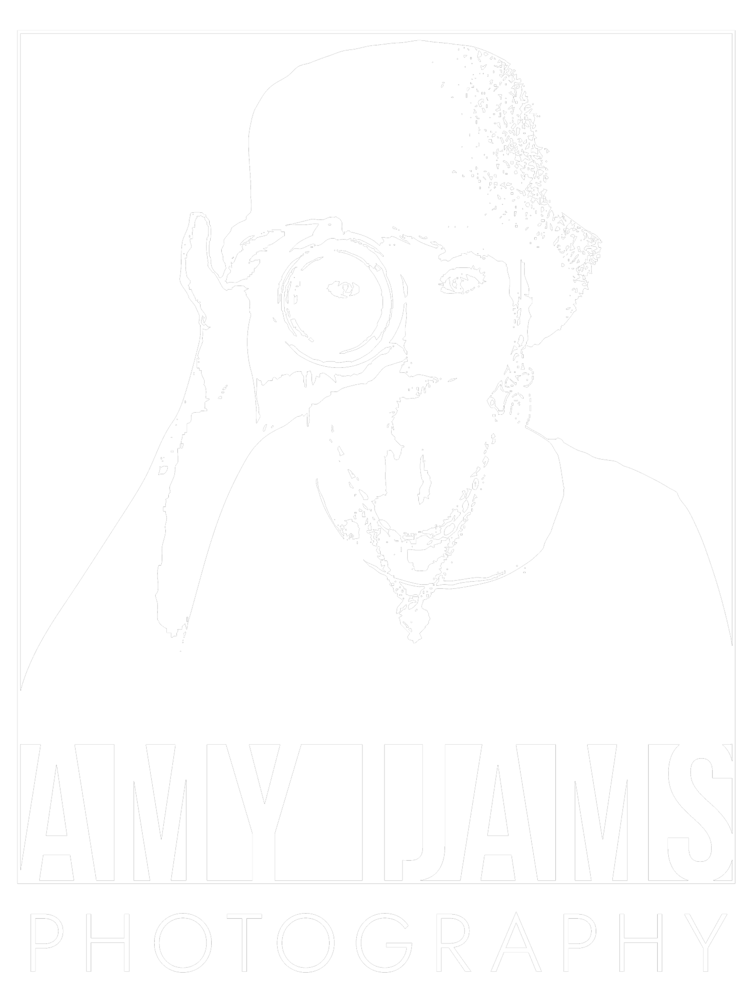 TUCSON PHOTOGRAPHER AMY IJAMS