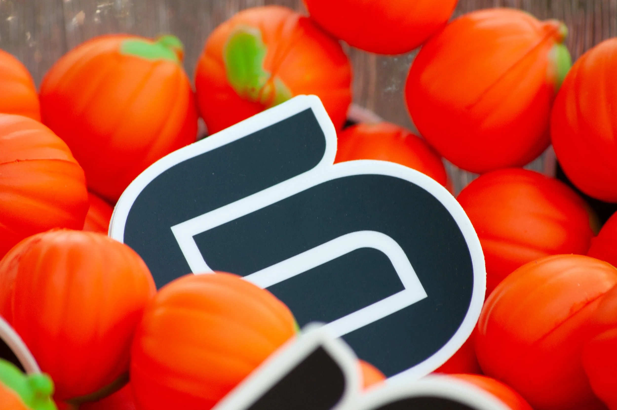 Autumn in Full Swing: University Union’s Harvest Fest Celebration