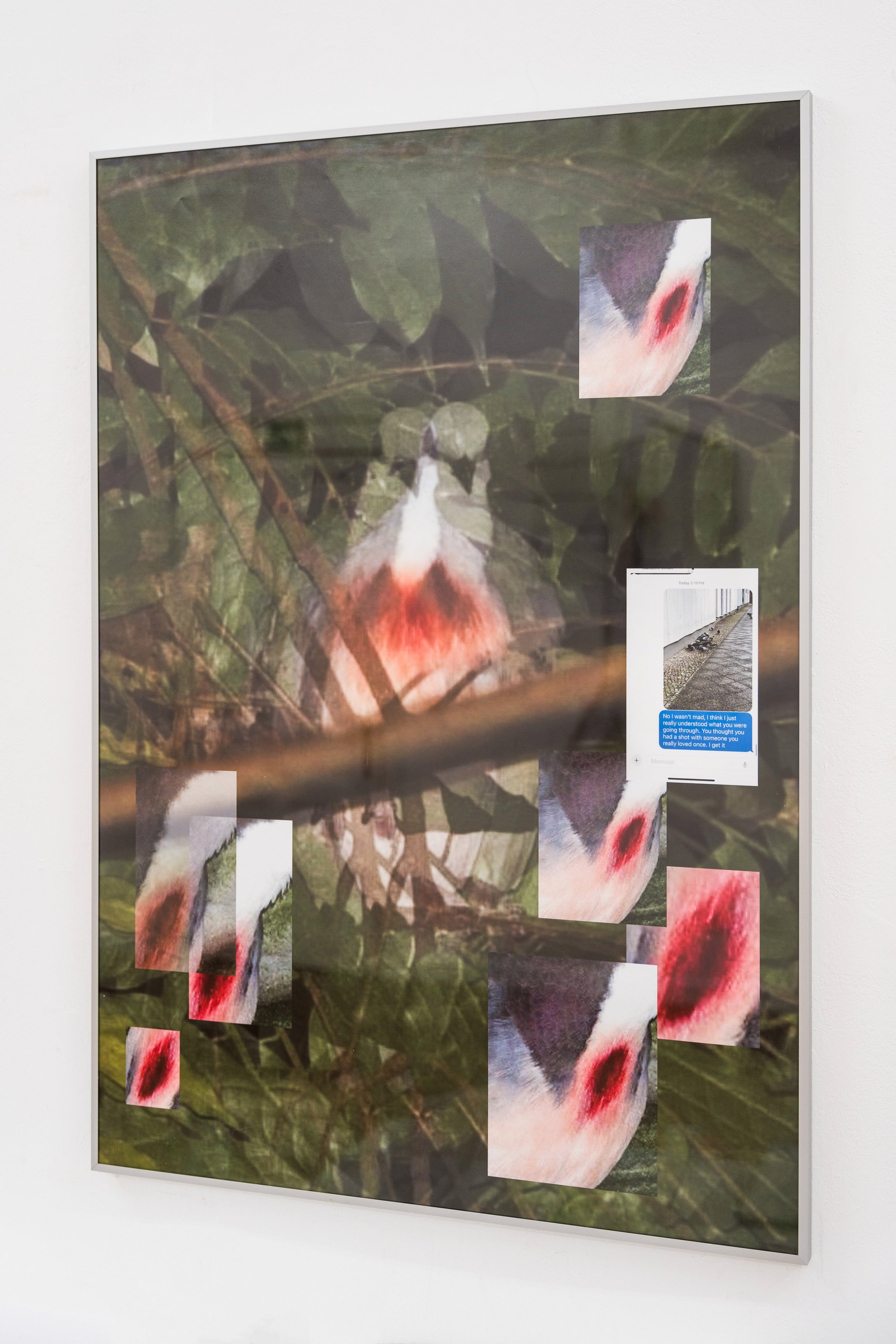 ATheobald_DraftTextIDidntSend_BleedingHeartDove_You Left This-Geh Nicht.jpg