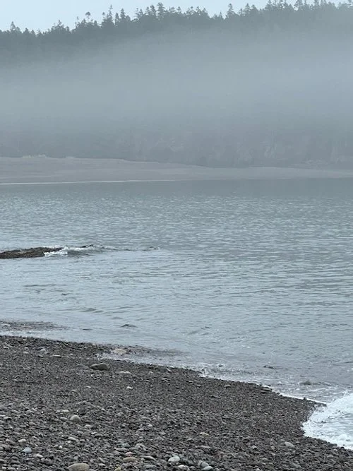 I find myself where the sea meets the sand Tiny holes drilled by sea creatures Bubbles clinging and swaying in the spray It is something how the waves wash the sand clean so quickly, giving life a new start Thresholds are like