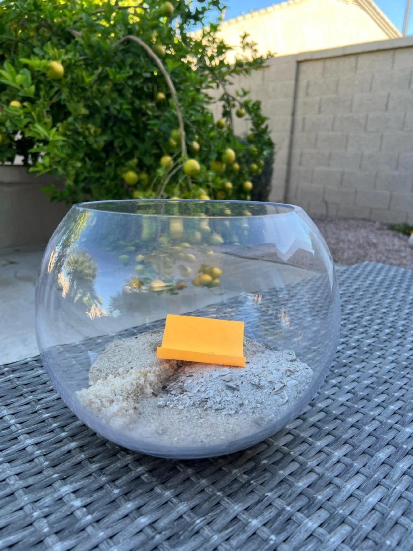      

 
   I started a new Gratitude Jar today. Thank you, dear Elizabeth, for reminding me. My first entry is “The Sun.” The jar I chose has been sitting on my desk filled about ⅛ full of sand I’ve collected from the many beaches I’ve visited…Calif
