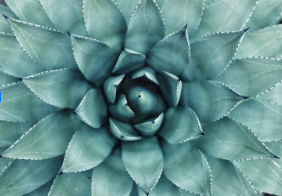 Screenshot 2026-02-22 163608.png