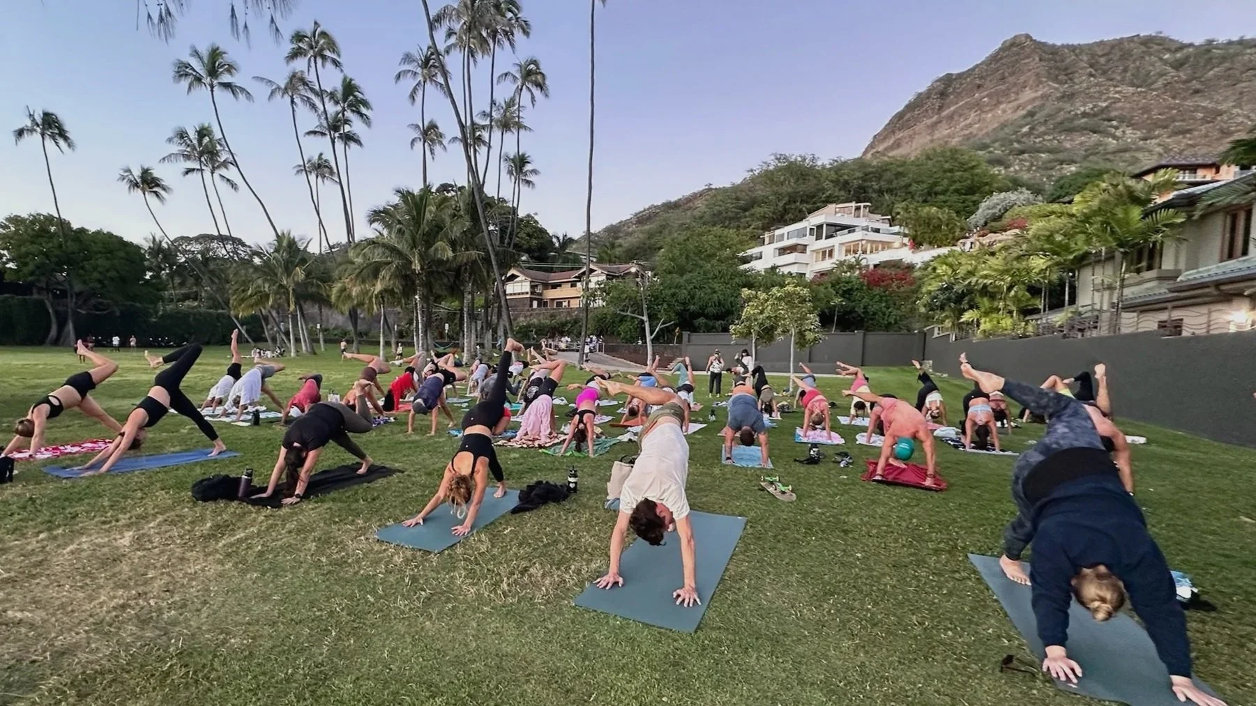 people doing sunset yoga under the palm trees in Honolulu Hawaii