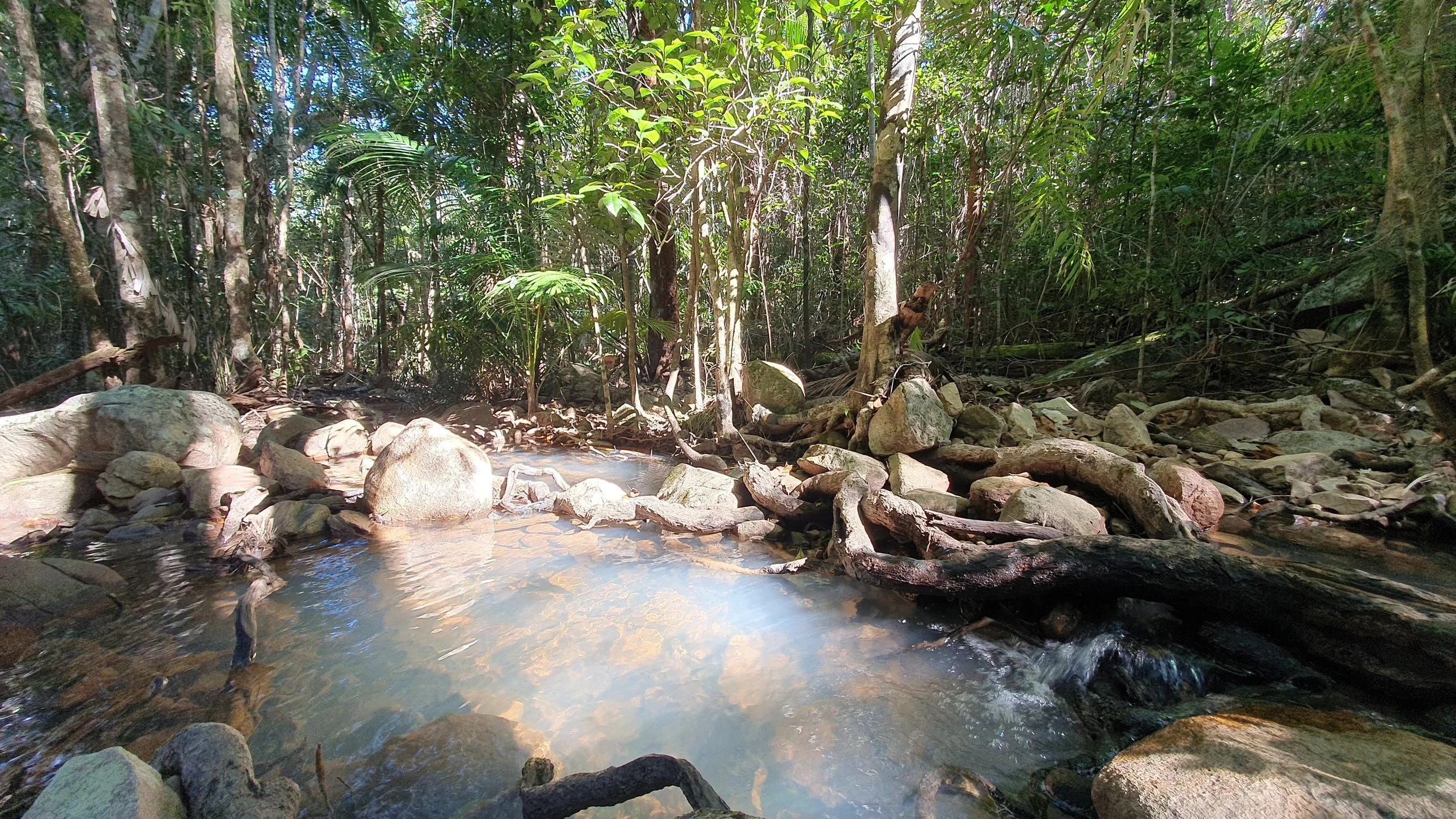 20250803_095834.jpg
