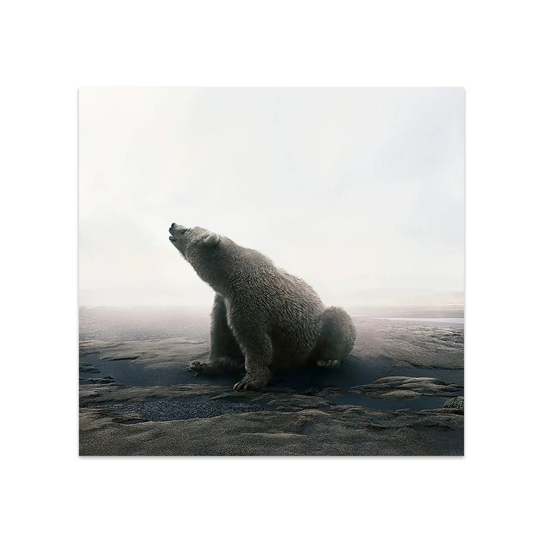 Bear With It - Alice Zilberberg