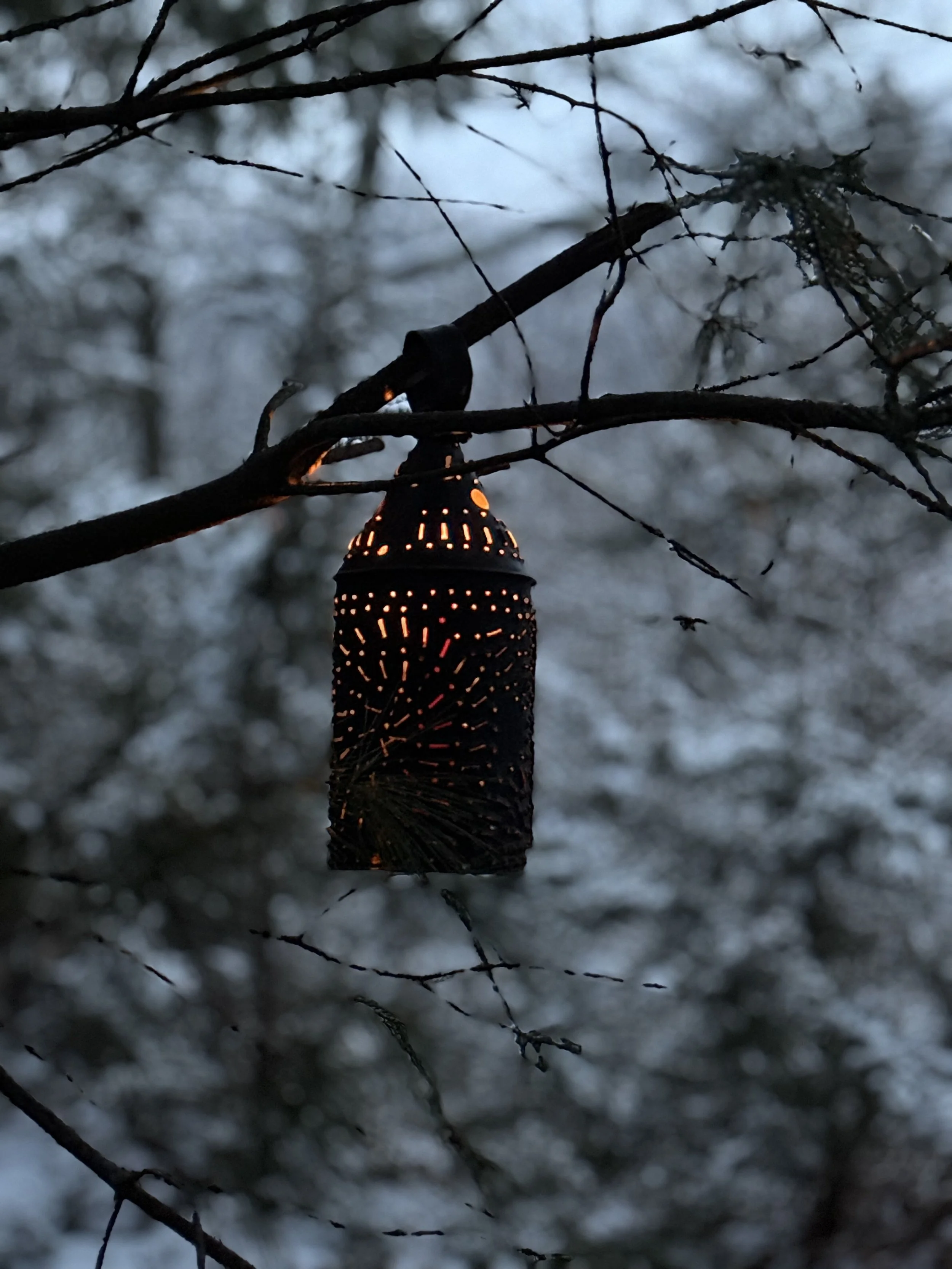 A lit decorative lantern hanging from tree branches outdoors during dusk or evening.