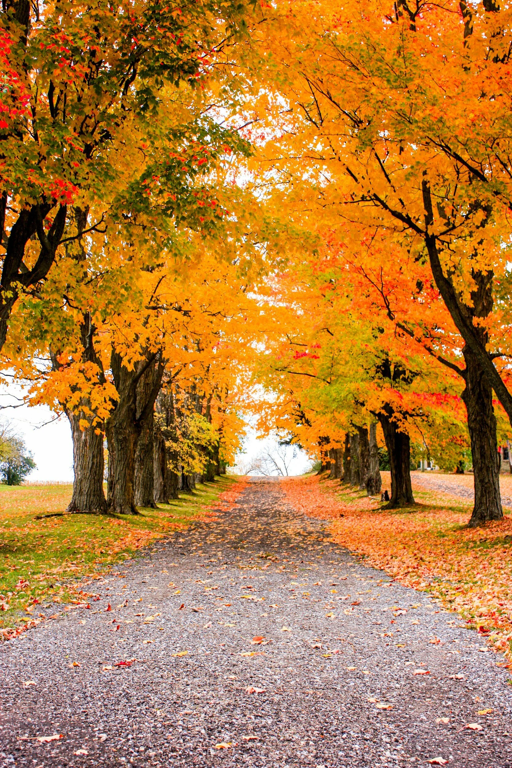 God's narrow path leads us to Himself