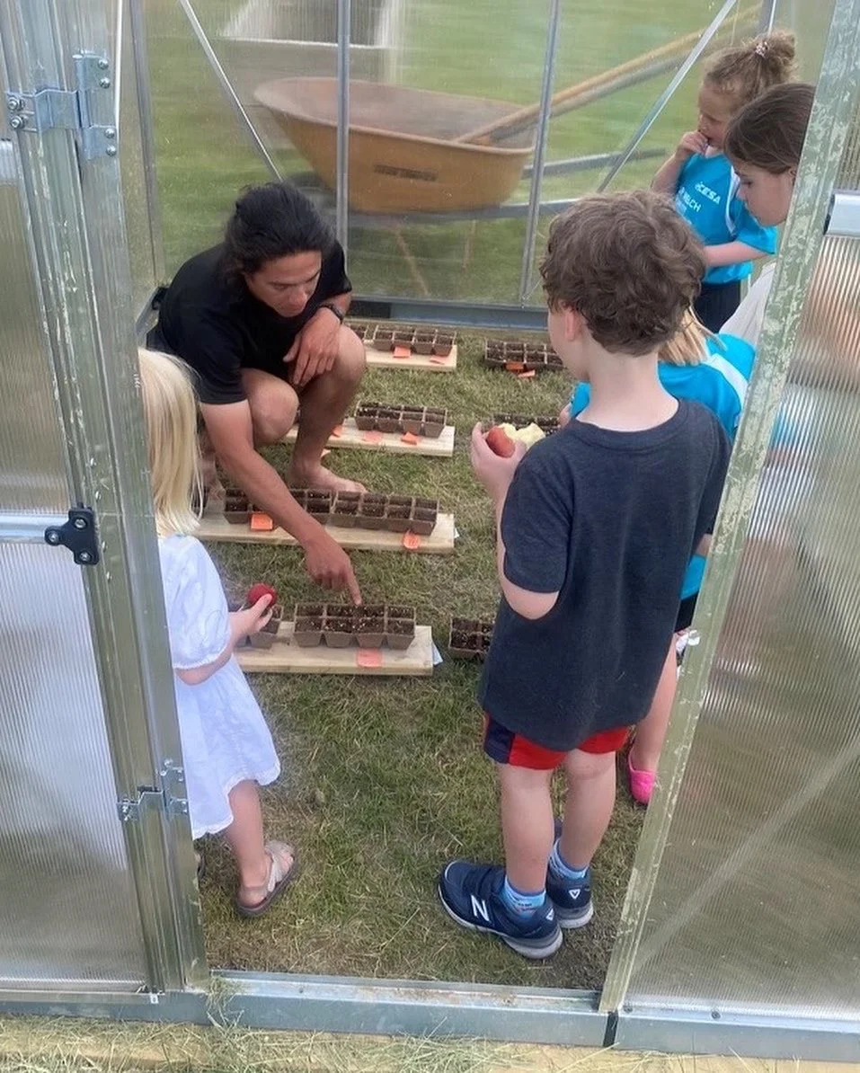 Students learning in a greenhouse