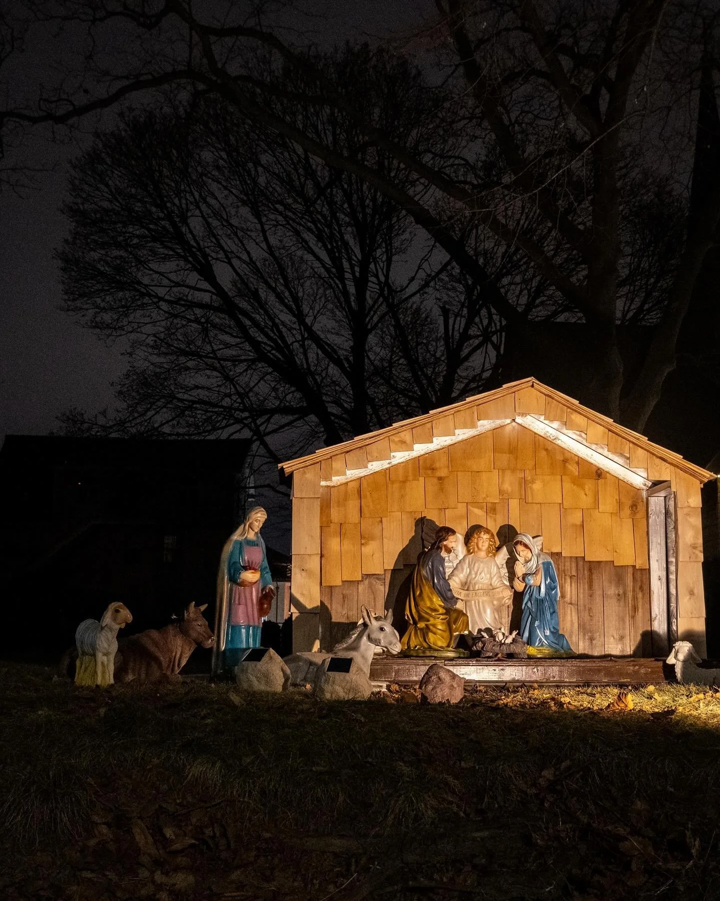 The night before the night before Christmas. 

#nyc #nativity #christmas #dykerheights #photooftheday #photography #nightphotography #ilovefujifilm #ishootfujifilm #fujixseries