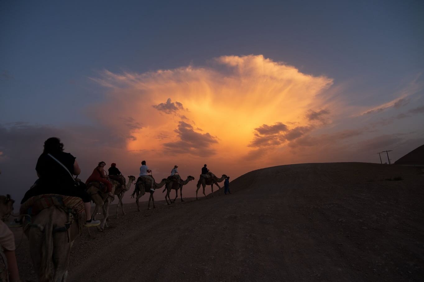 Moroccan desert, late light 🌅
