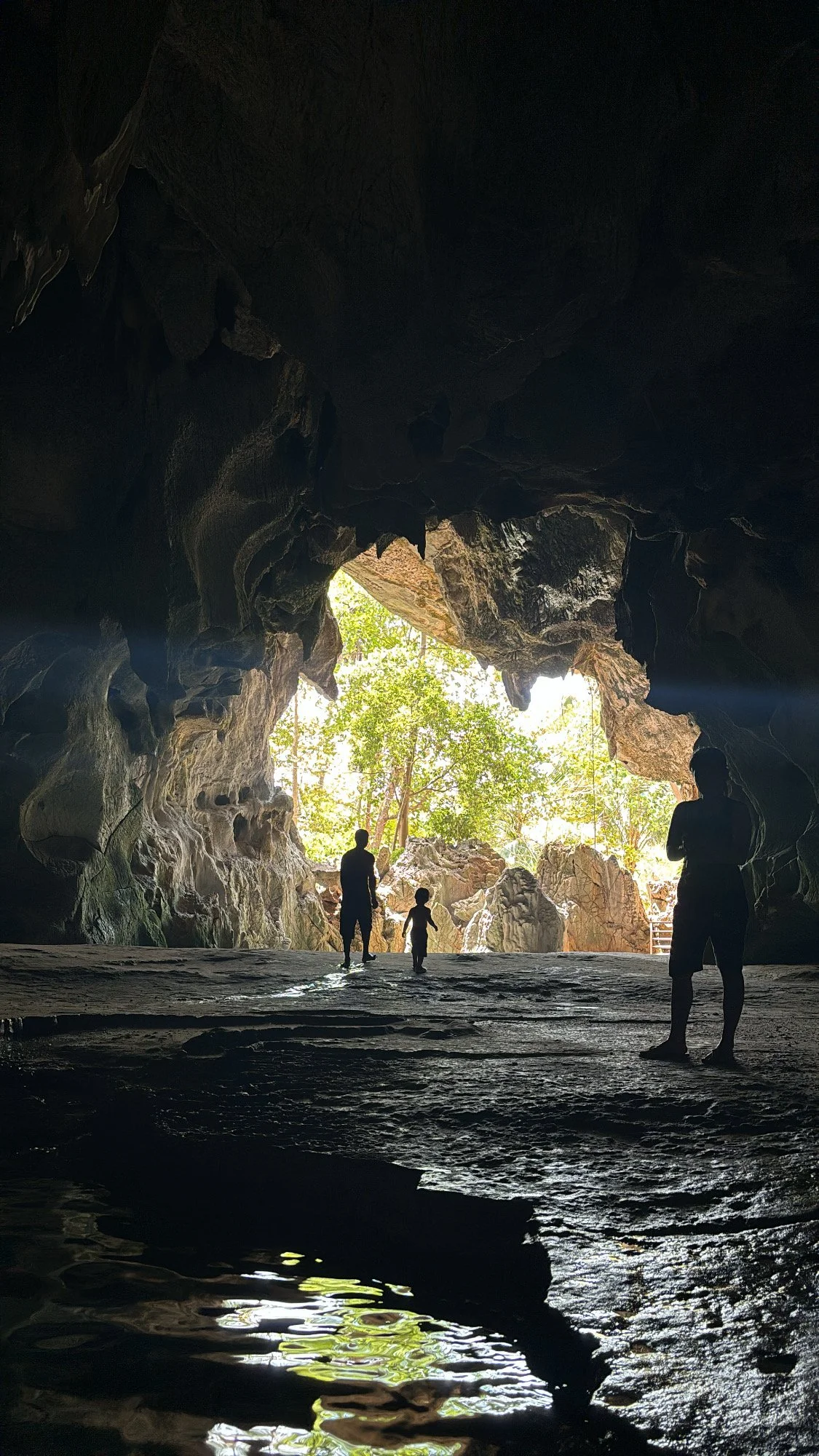 henselgardens_caveentrance.jpg