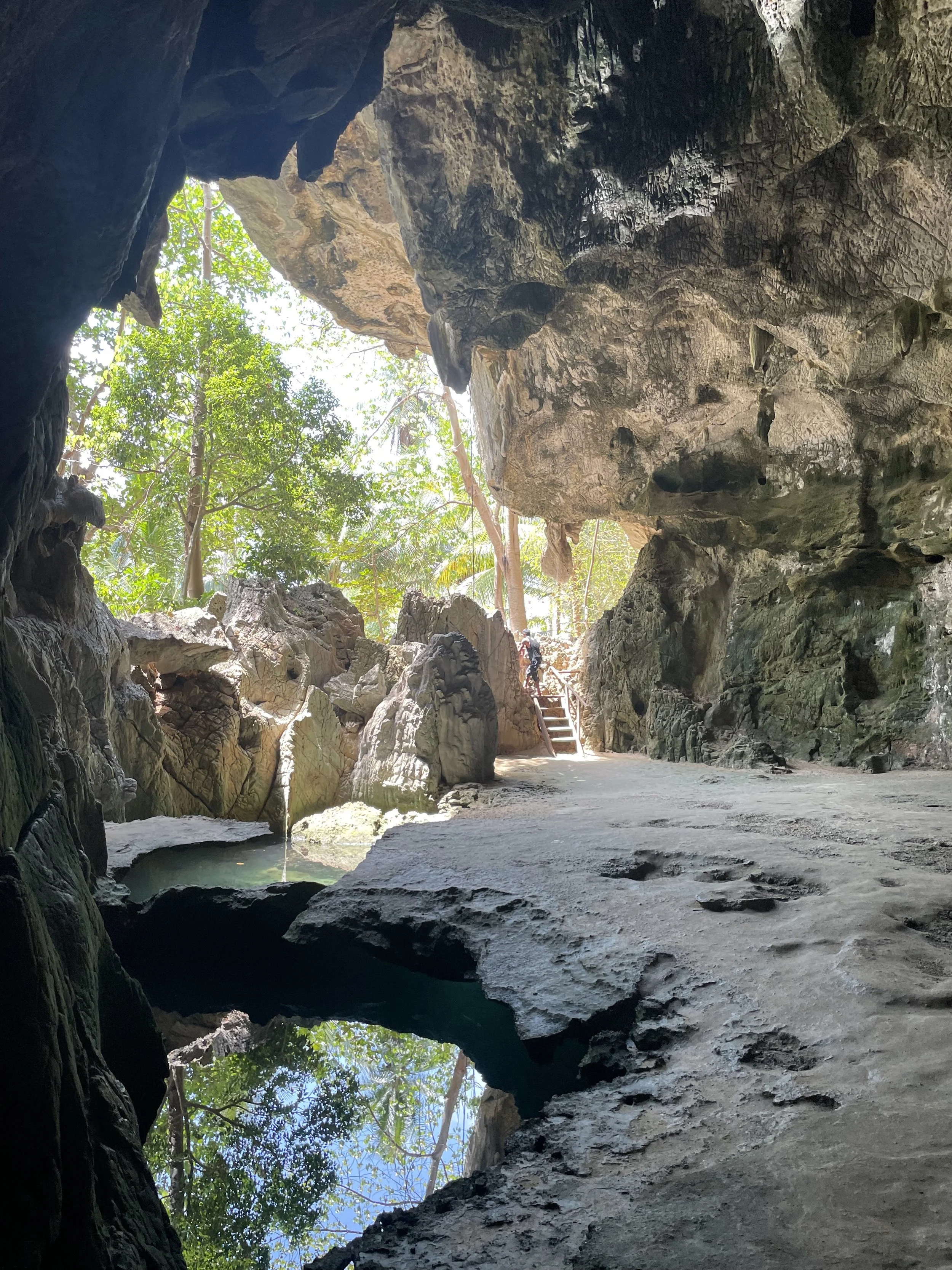 henselgardens_cavepool.jpg
