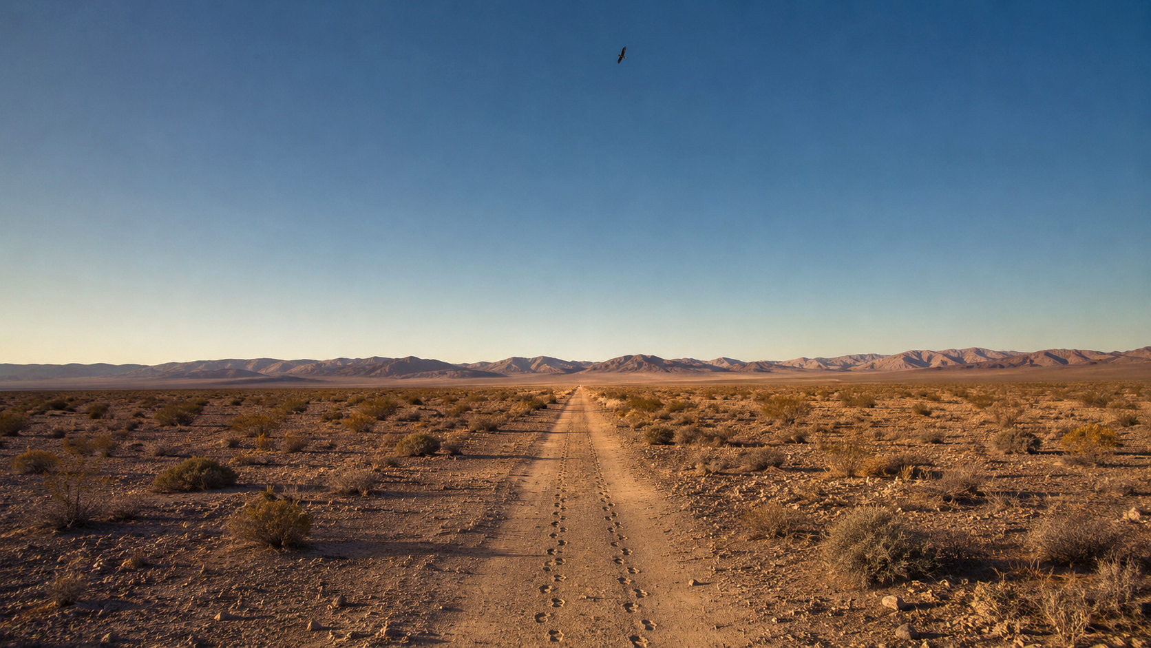 A wide documentary landscape photograph of an empty desert trail running through a wilderness basin toward sunlit mountains, with two sets of boot prints in the dust, dry scrub brush, cracked earth.