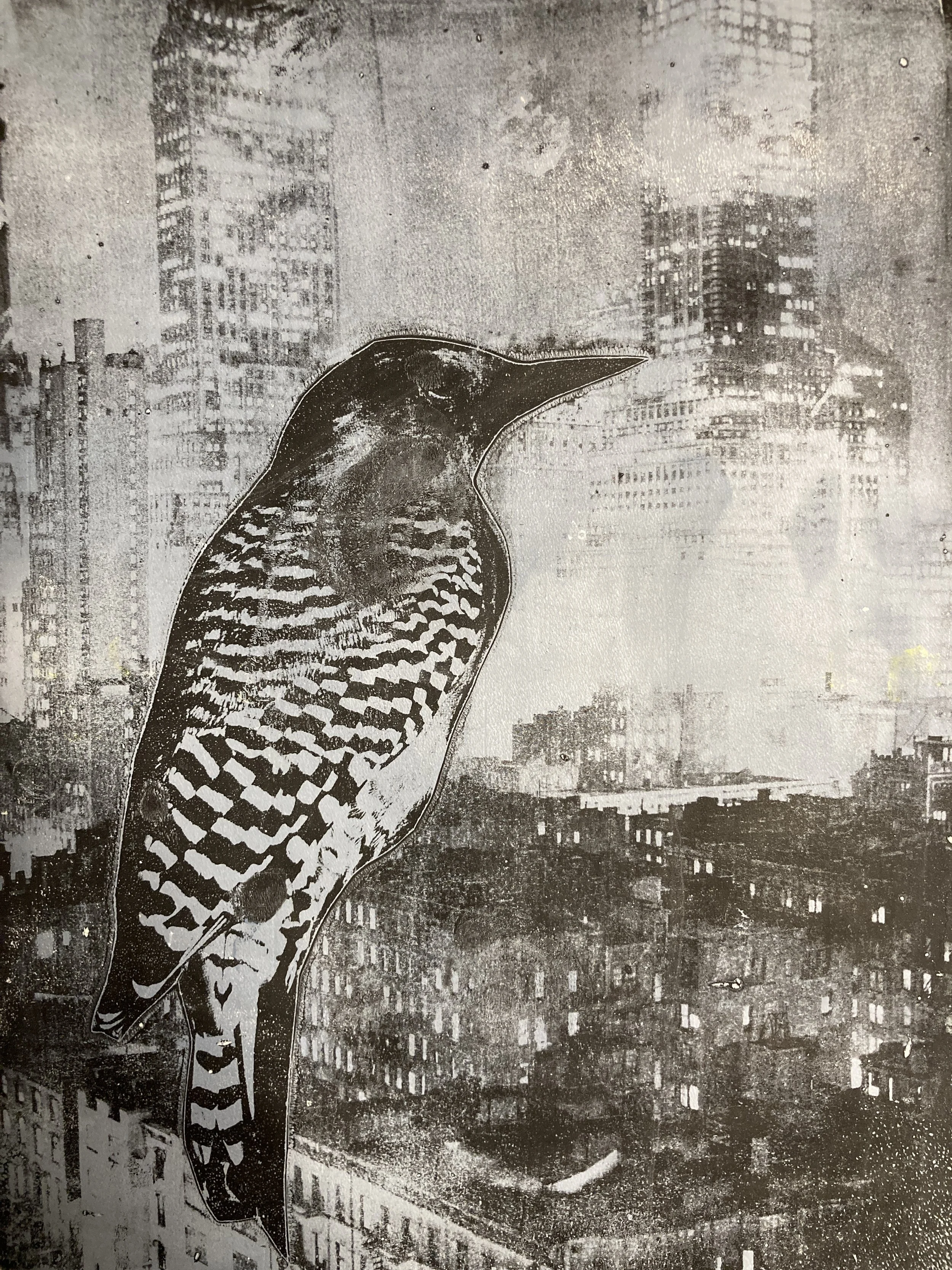 CHECKER BIRD (2024) Acrylic gel print on rice paper, 8.5" x 11" 