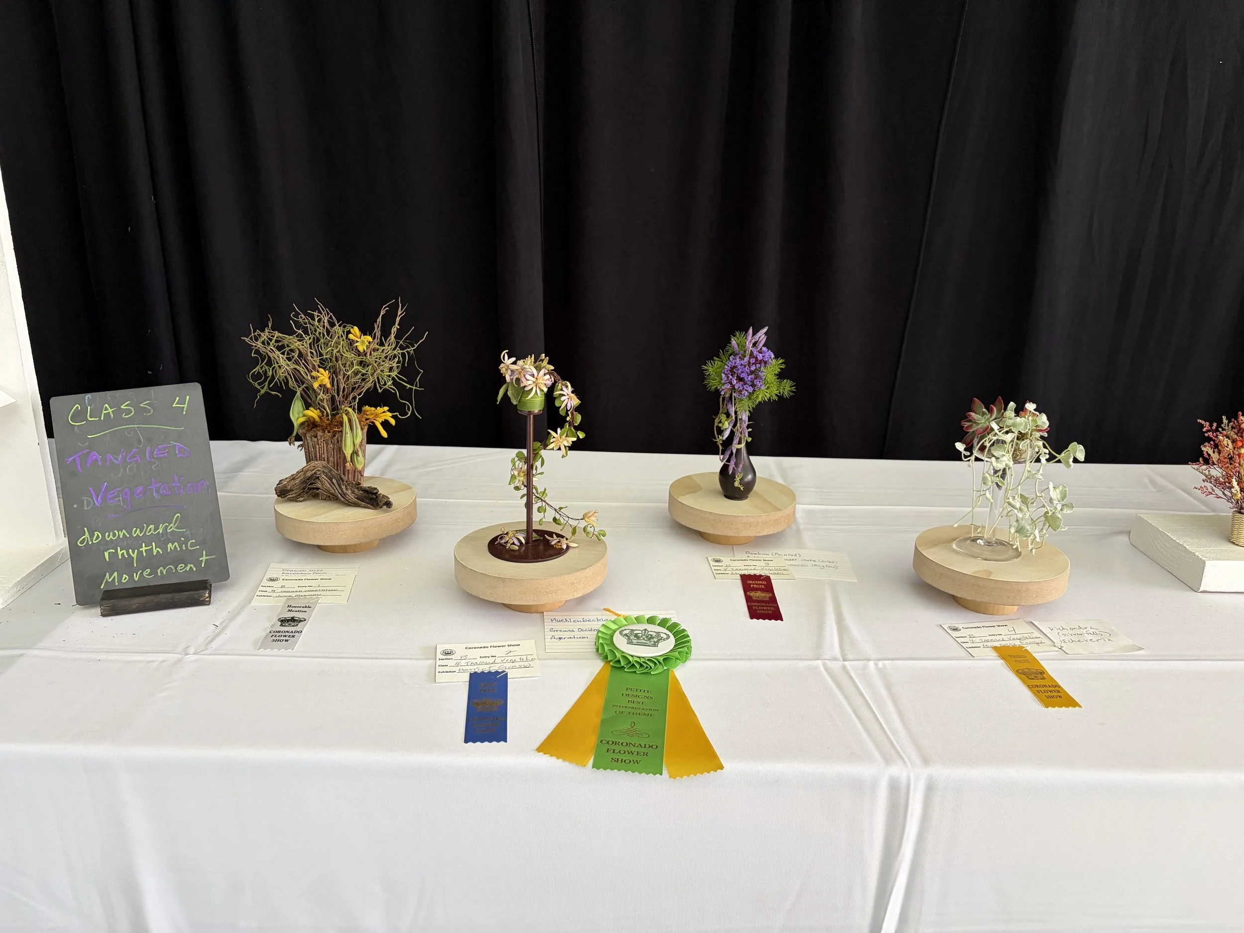  A Petite NGC Creative Cascade Design by Harriet Grosso
Local Award/Best Interpretation of Theme & Blue Ribbon in Class 4