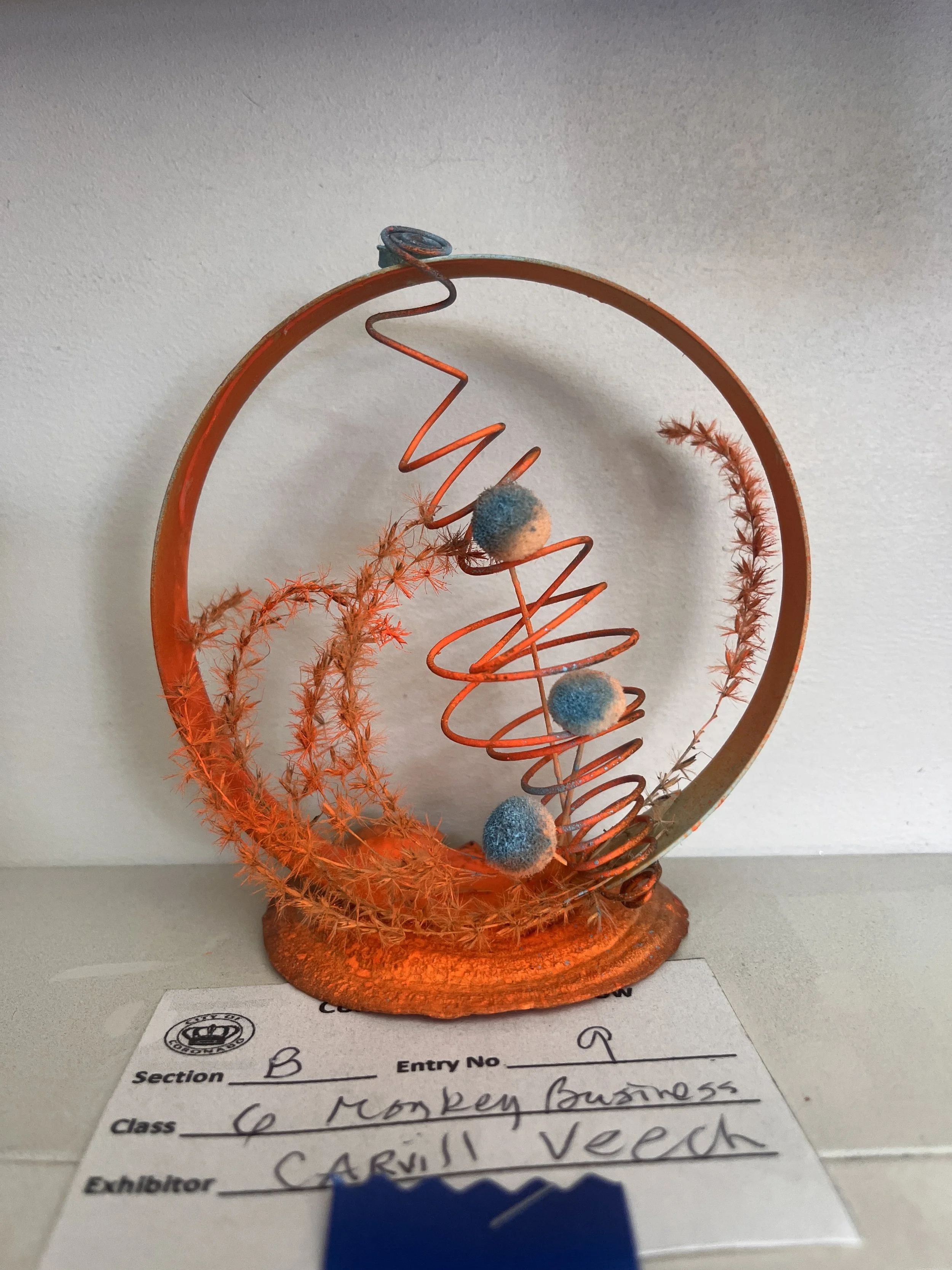 A Petite NGC Creative Design by Carvill Veech
NGC Petite Award & Blue Ribbon in Class 3