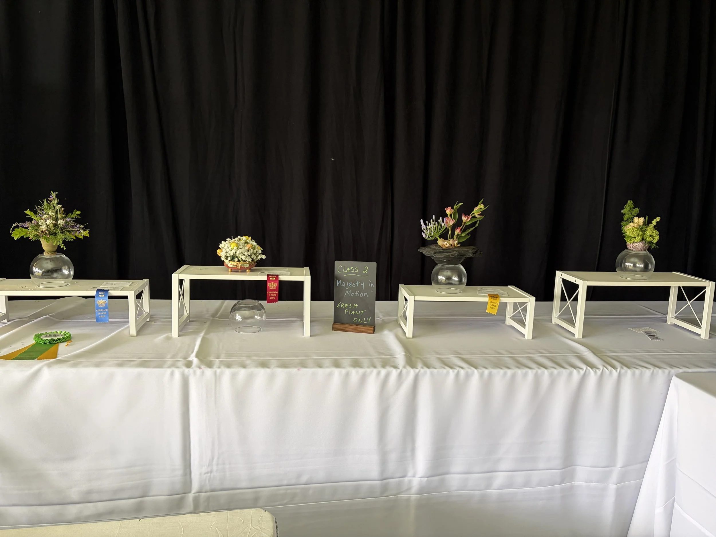 Petite NGC Traditional Design by Carvill Veech 
Local Award Best Interpretation of Theme & Blue Ribbon in Class 2
