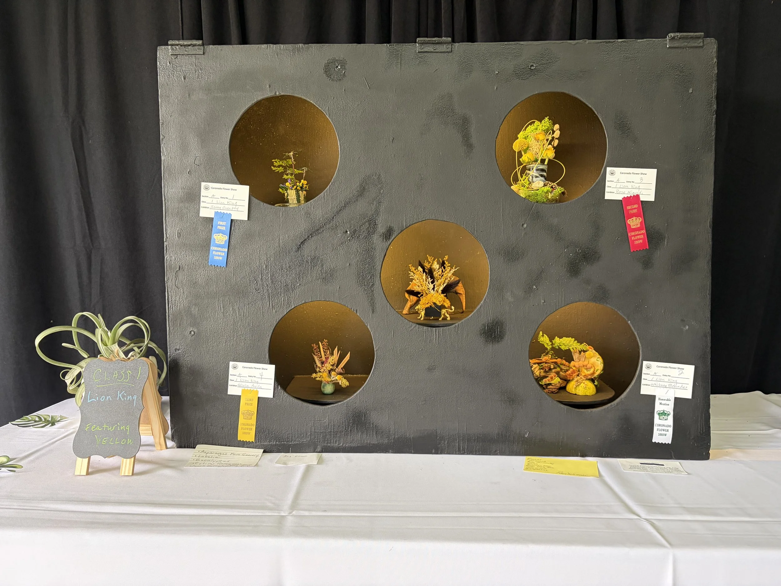 Petite NGC Creative Design by Jenny Gyapay
Blue Ribbon in Class 1
