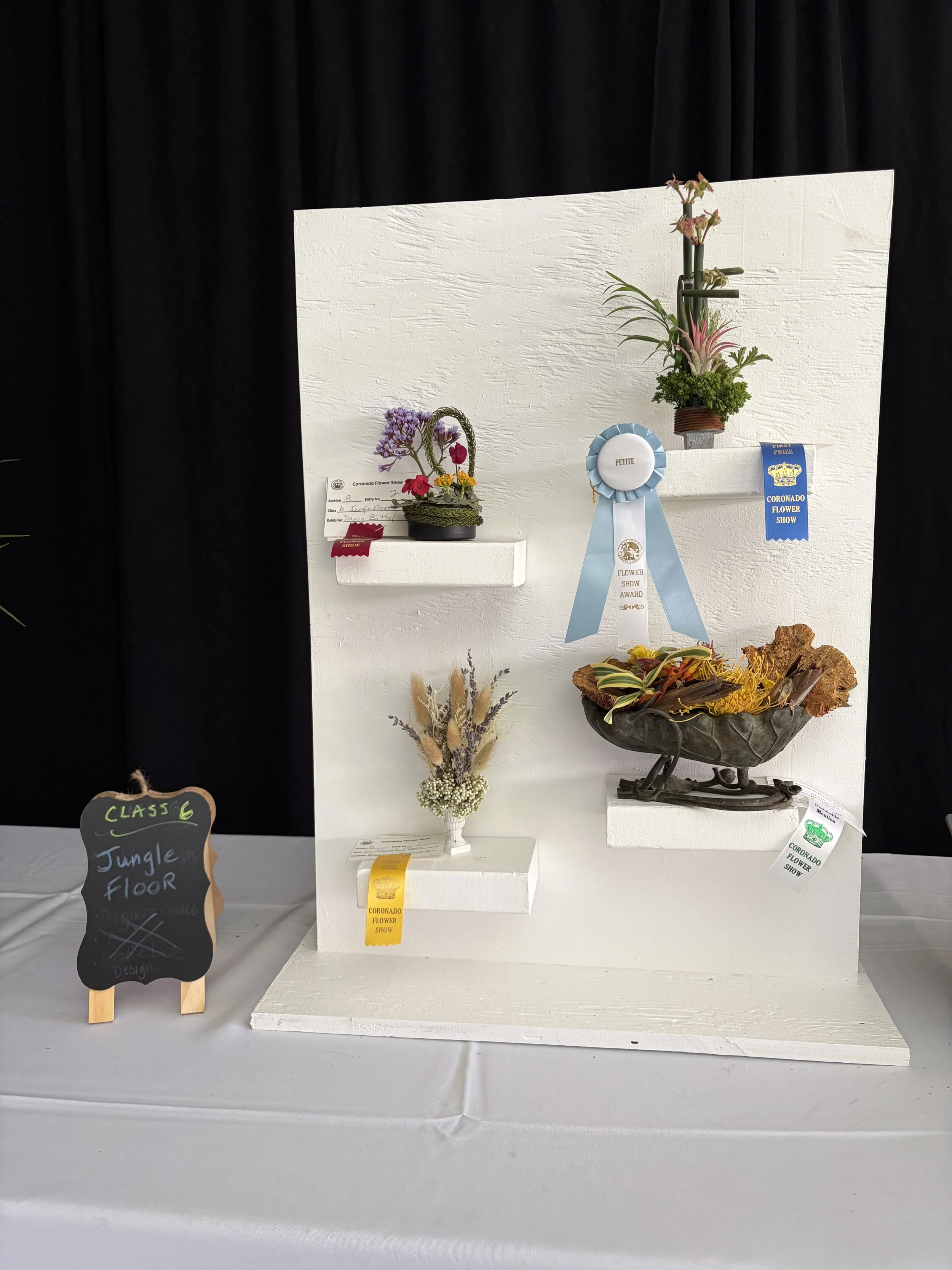 A Petite NGC Creative Design by Nancy Baldwin
NGC Petite Award & Blue Ribbon in Class 6
 