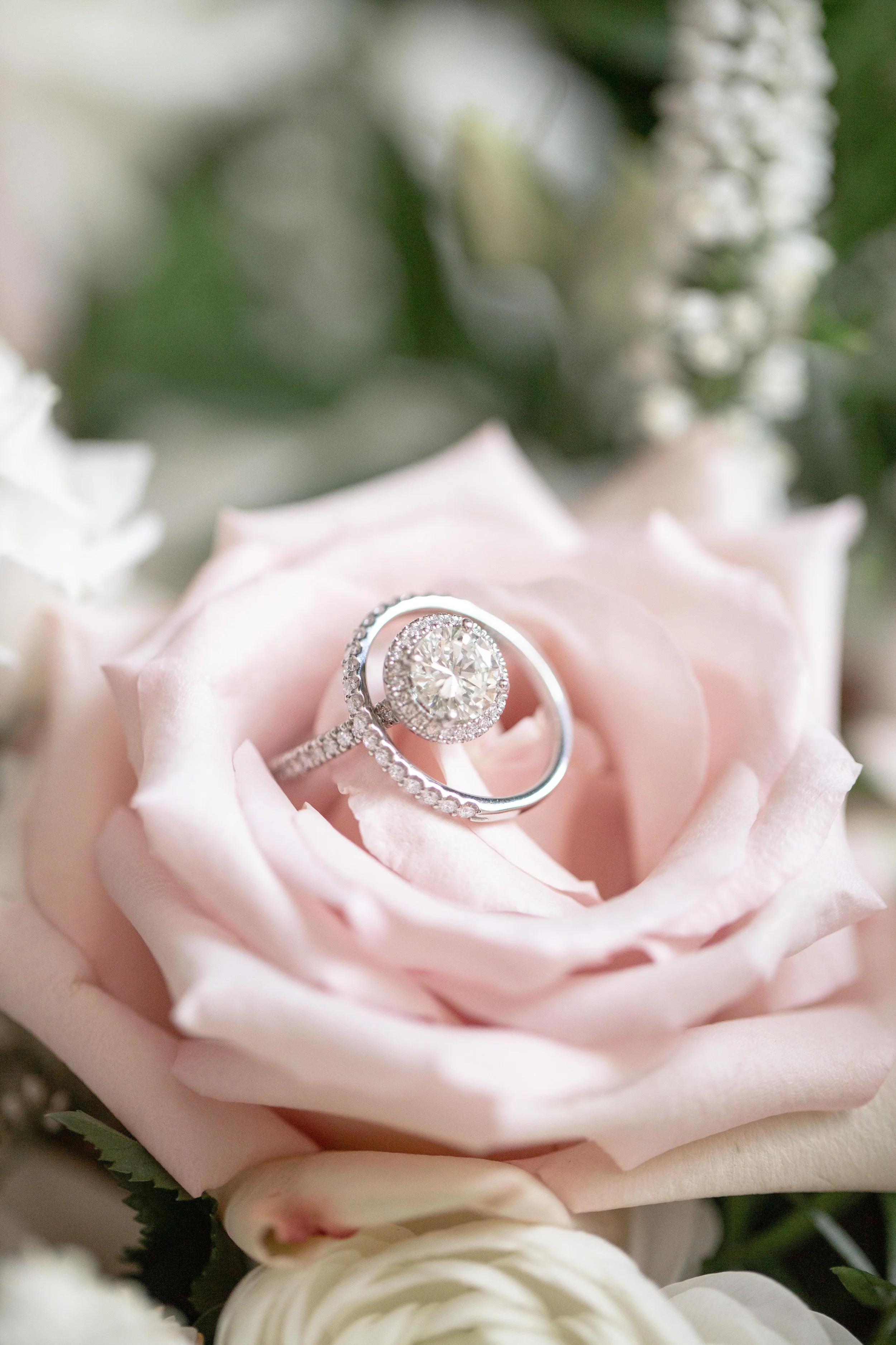 JEwedd2021-6.jpg