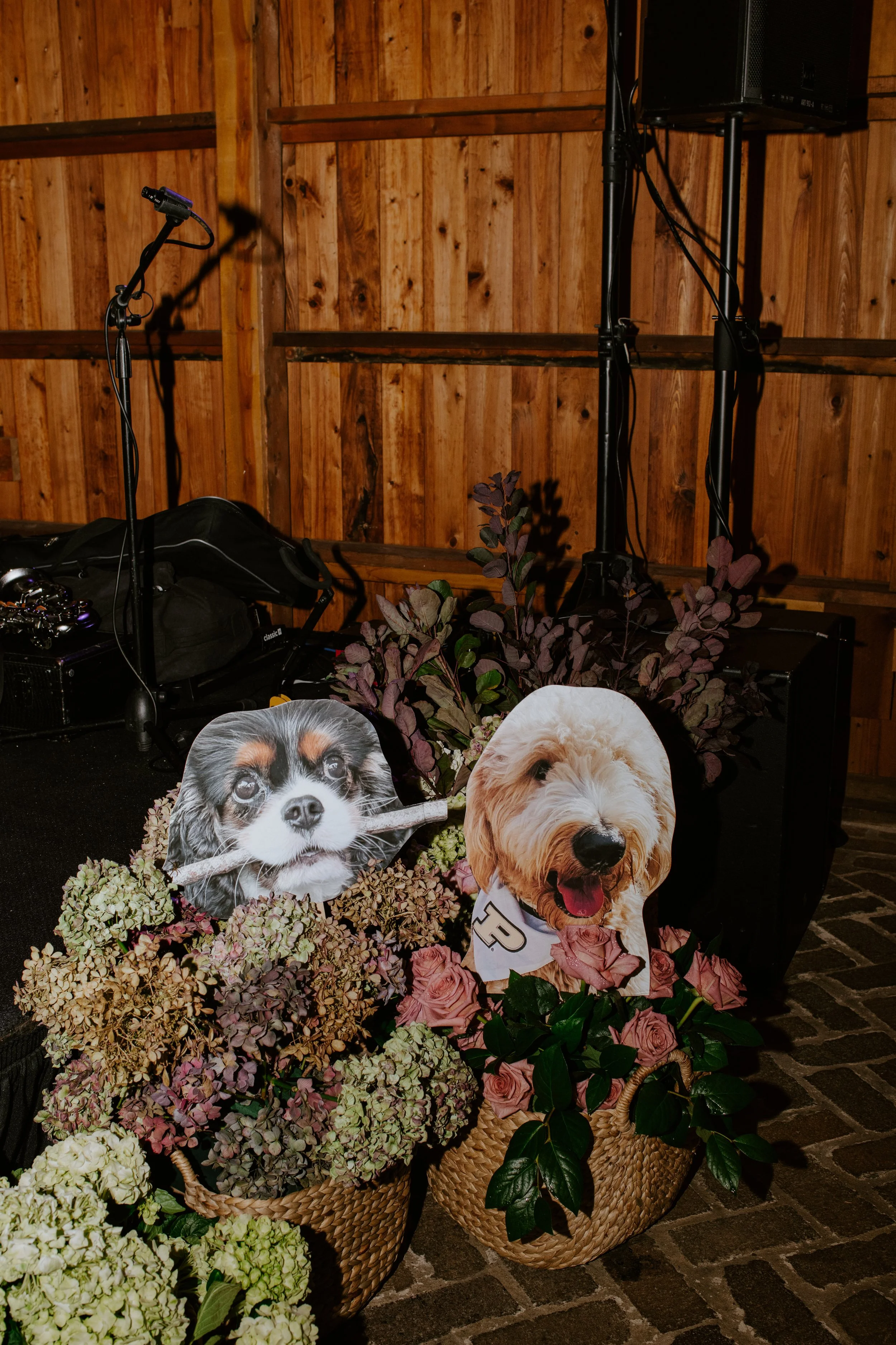 A display of two Life is Better with a Dog posters surrounded by bouquets of white and pink hydrangeas and roses in woven baskets. The background features wooden walls and a microphone stand with sound equipment.