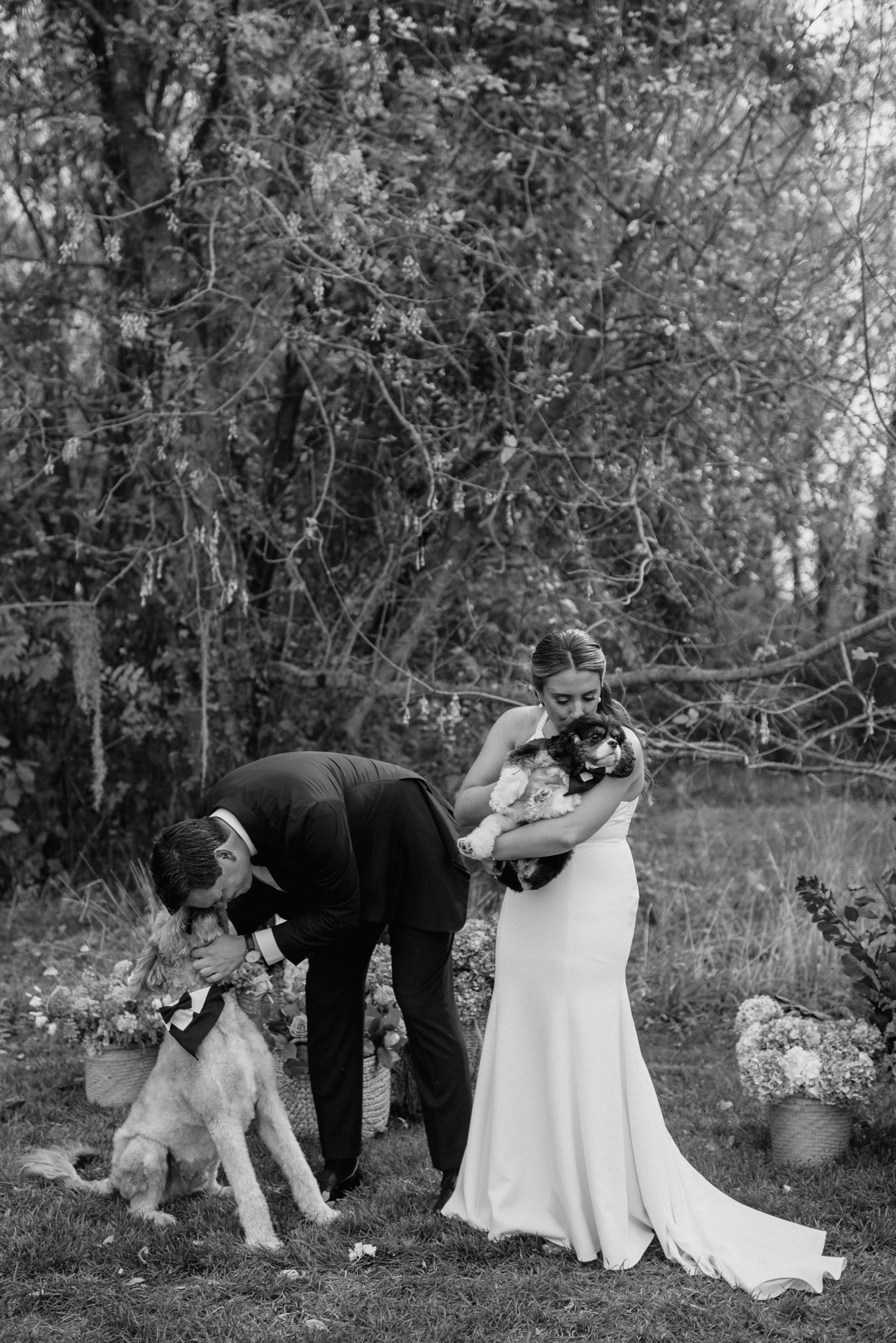 A black-and-white photo of a wedding ceremony outdoors with a woman holding a dog, two men handling dogs, and decorative potted plants and flowers around them.