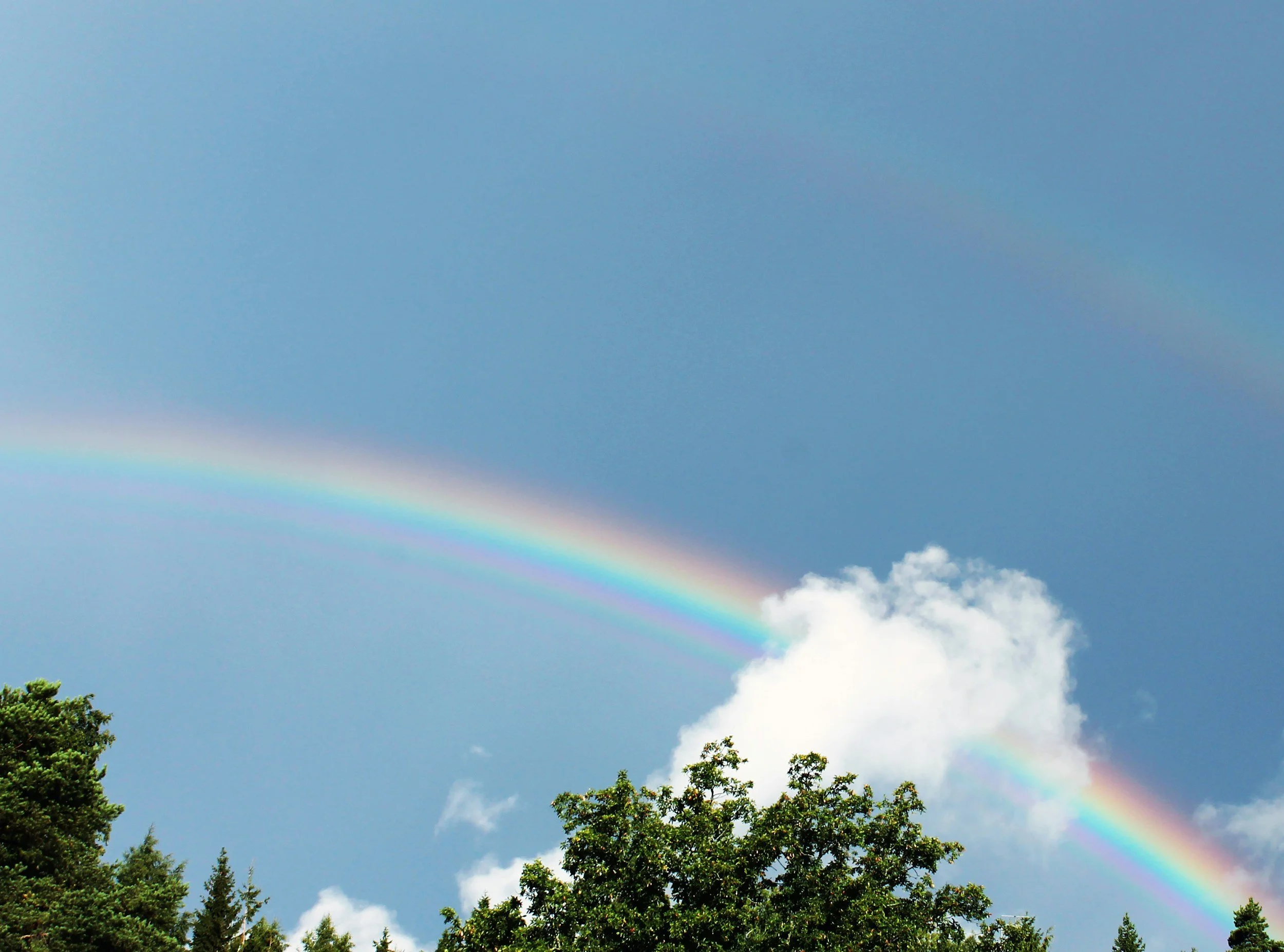 Rainbow