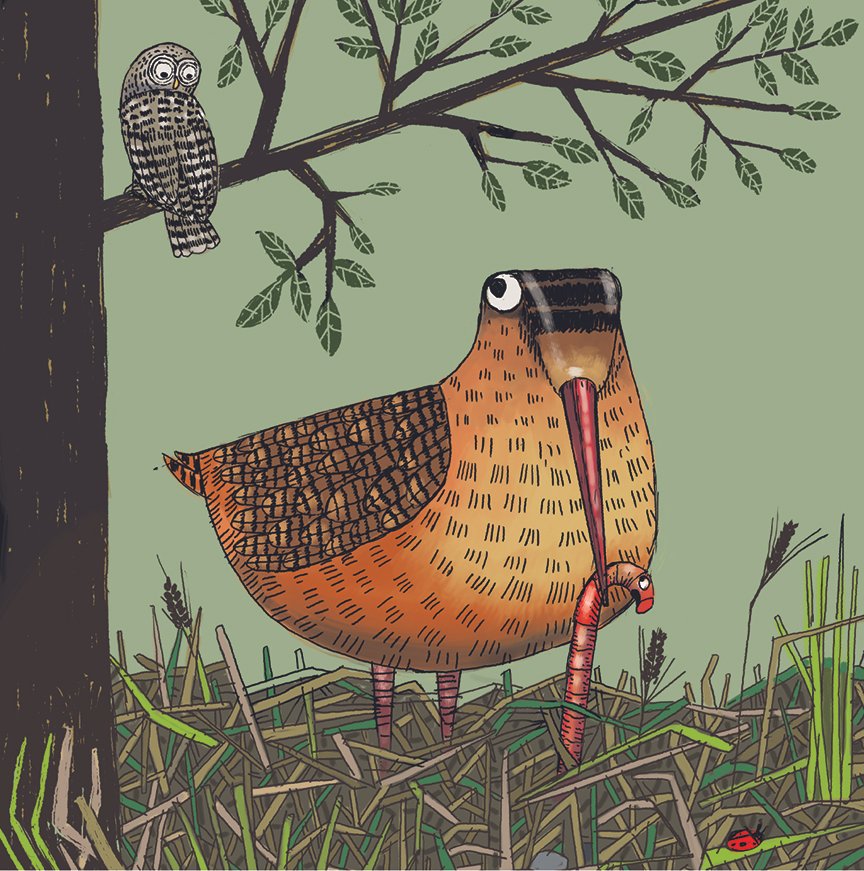  Timberdoodle Blues 
 From Superlative Birds