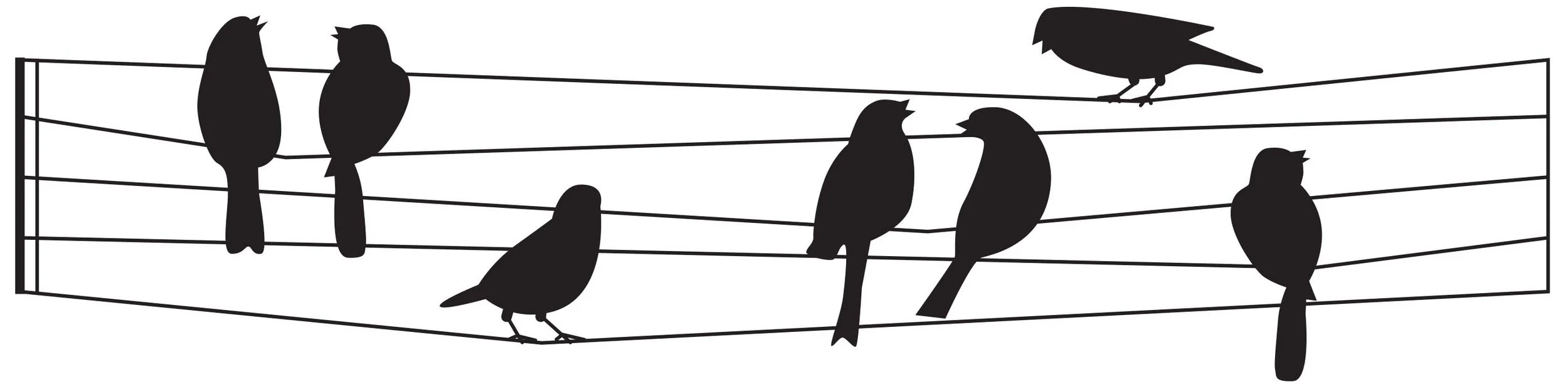 Silhouettes of seven birds perched on clotheslines set against a white background.