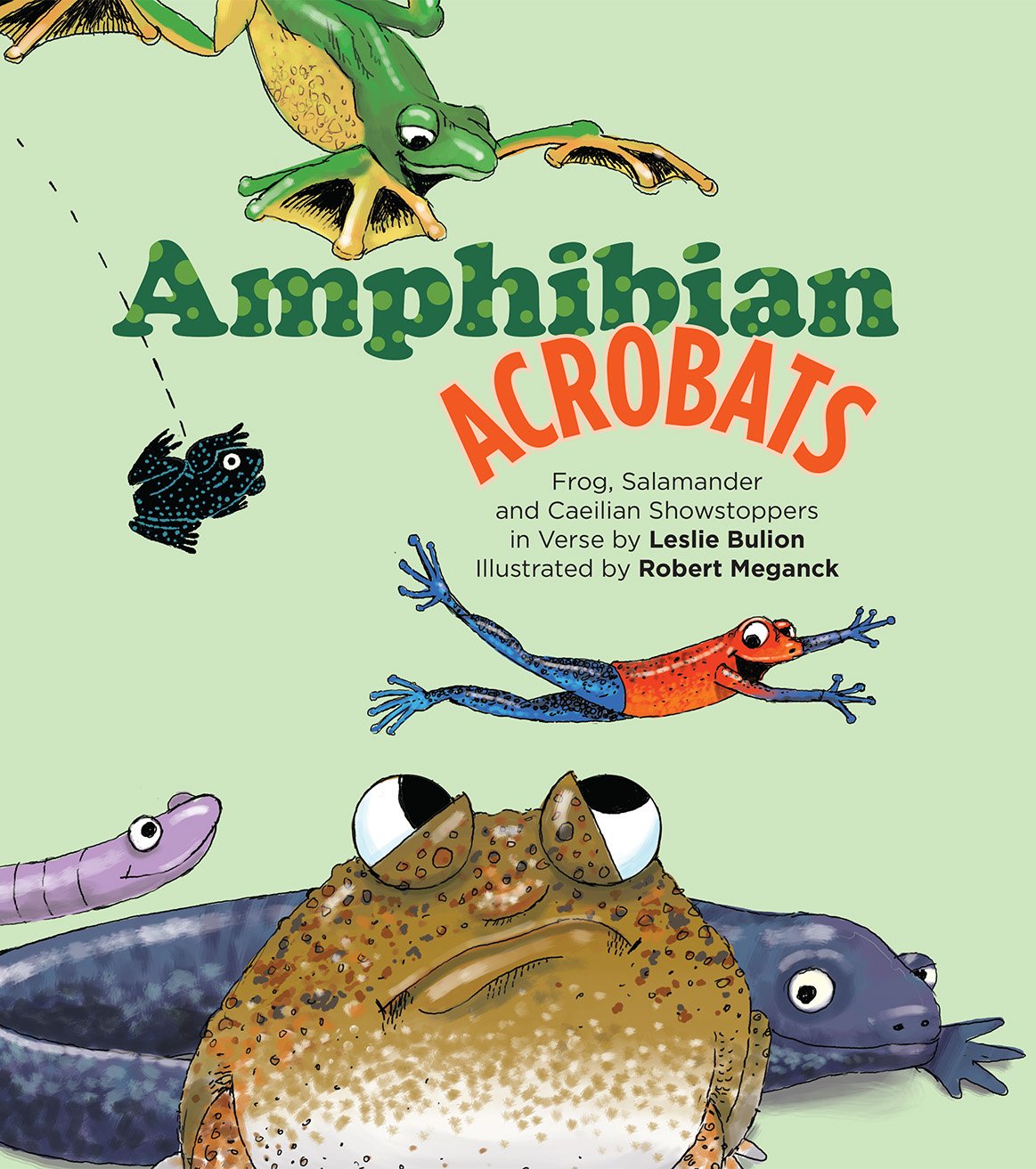  Amphibian Acrobats 
 Written by Leslie Bulion, Illustrated by Robert Meganck