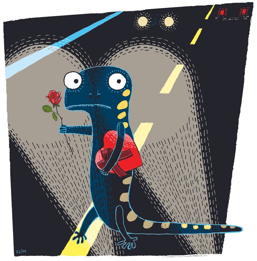  Yellow Spotted Salamander 