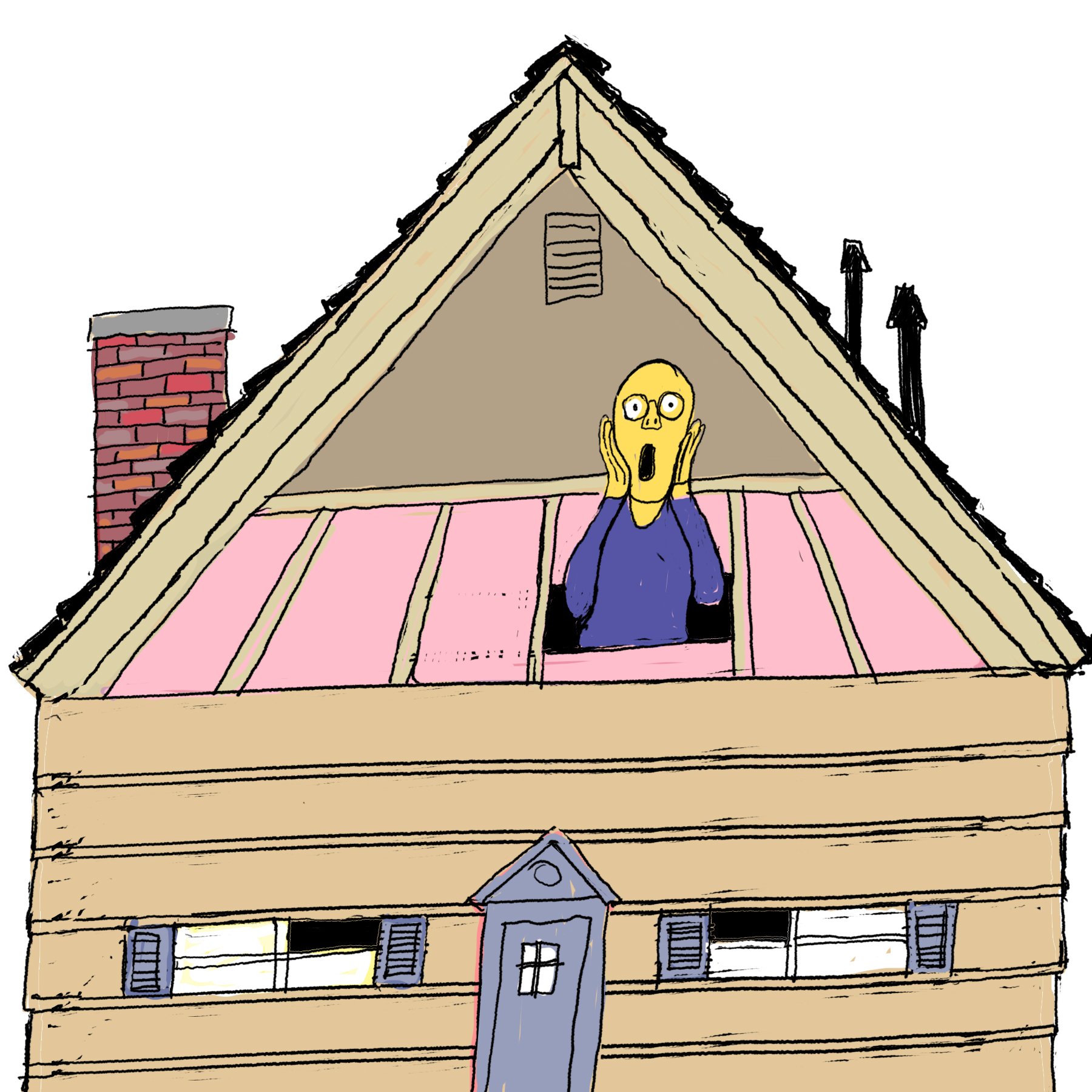 A person with a surprised expression, holding their face, looking out from an unfinished attic of a house with a pink floor and a gray door.