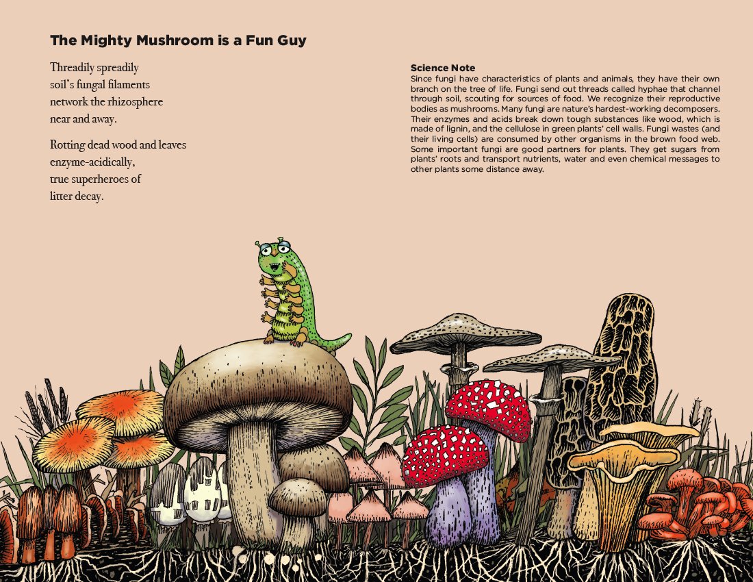  Leaf Litter Critters 
 Written by Leslie Bulion, Illustrated by Robert Meganck