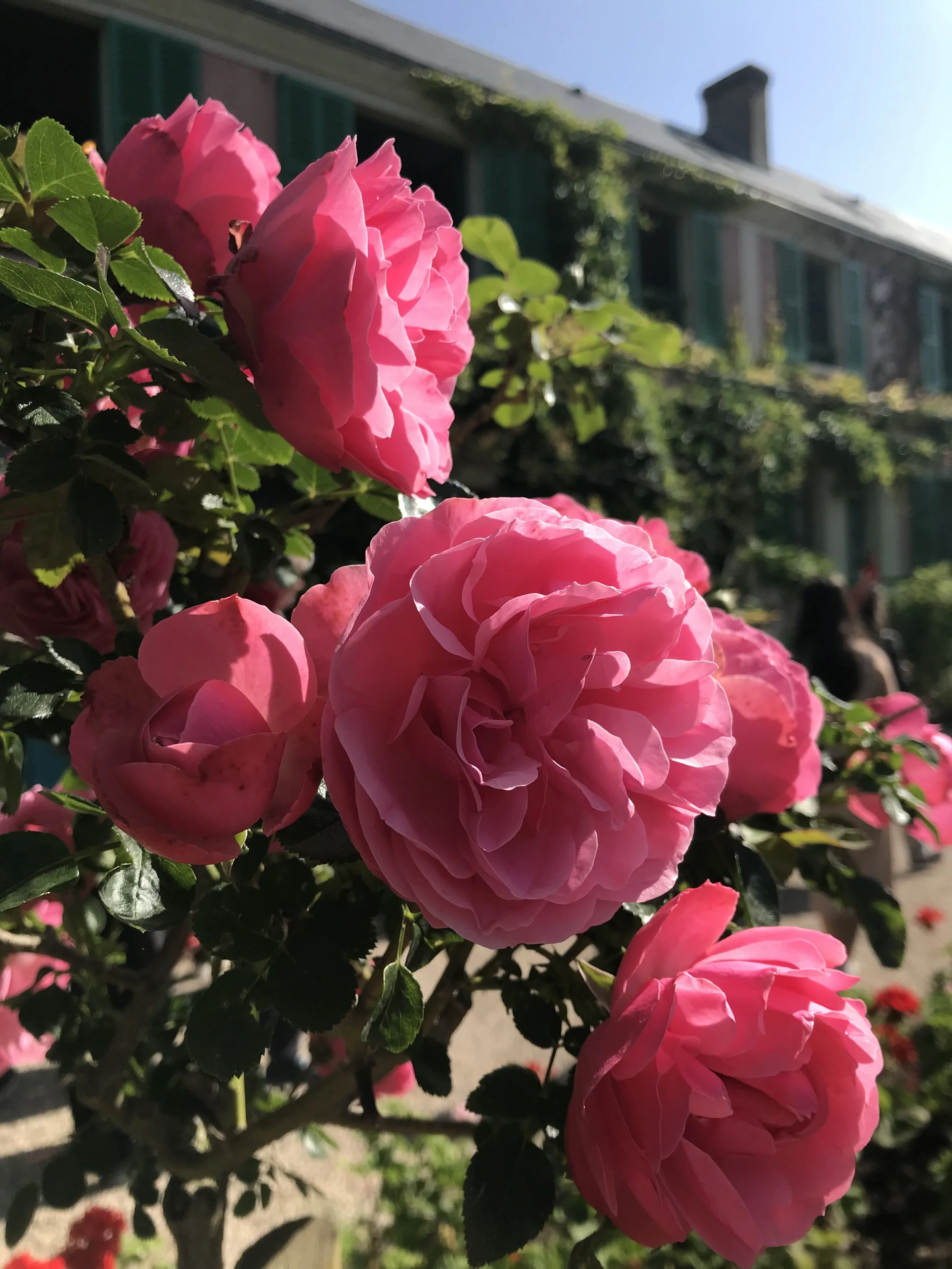 flute teacher boulder