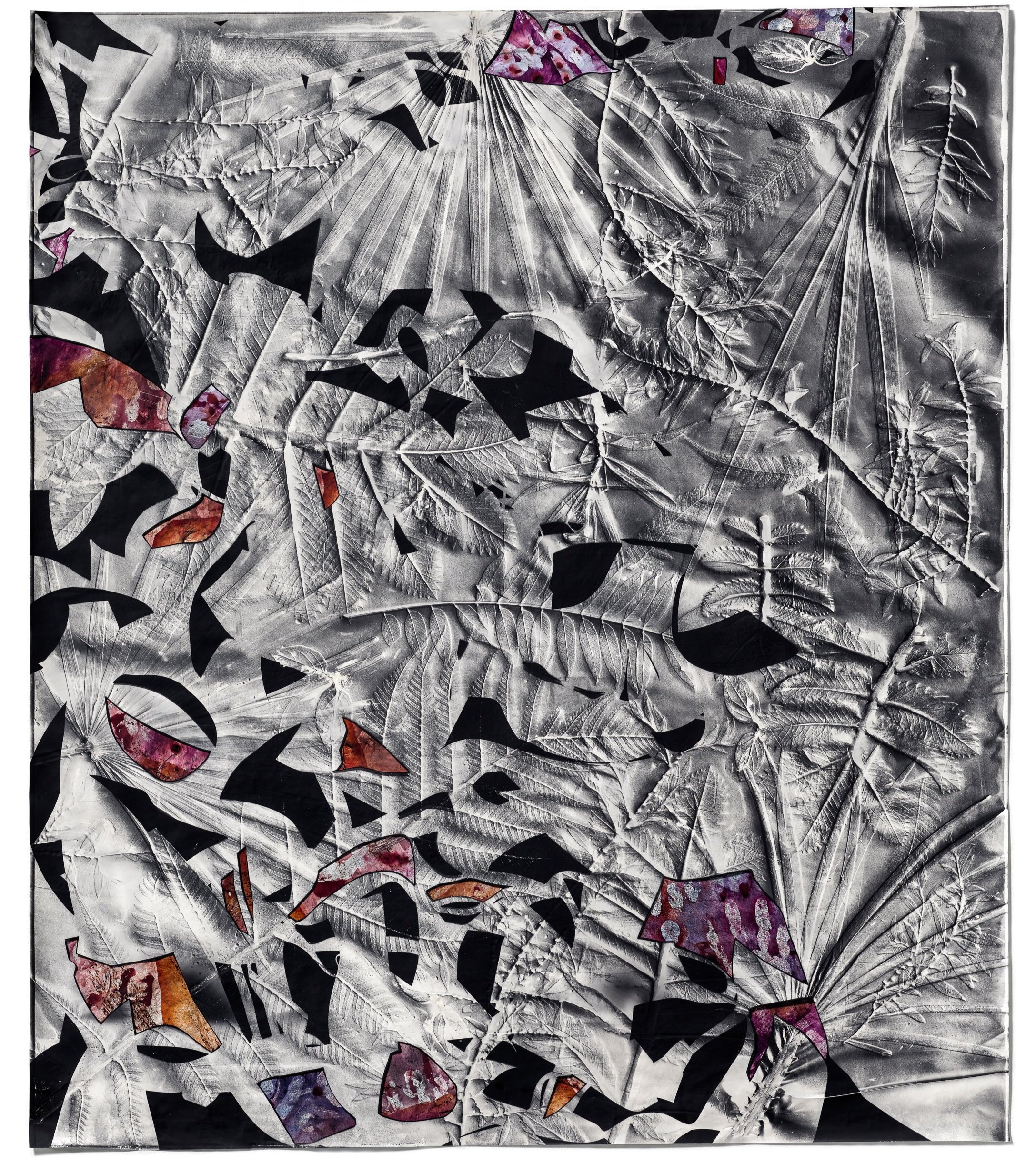   Fossil Record 1,  2022 Collage of photographic reliefs (embossed silver gelatin photograms, fabric dye) 45 x 39 in 