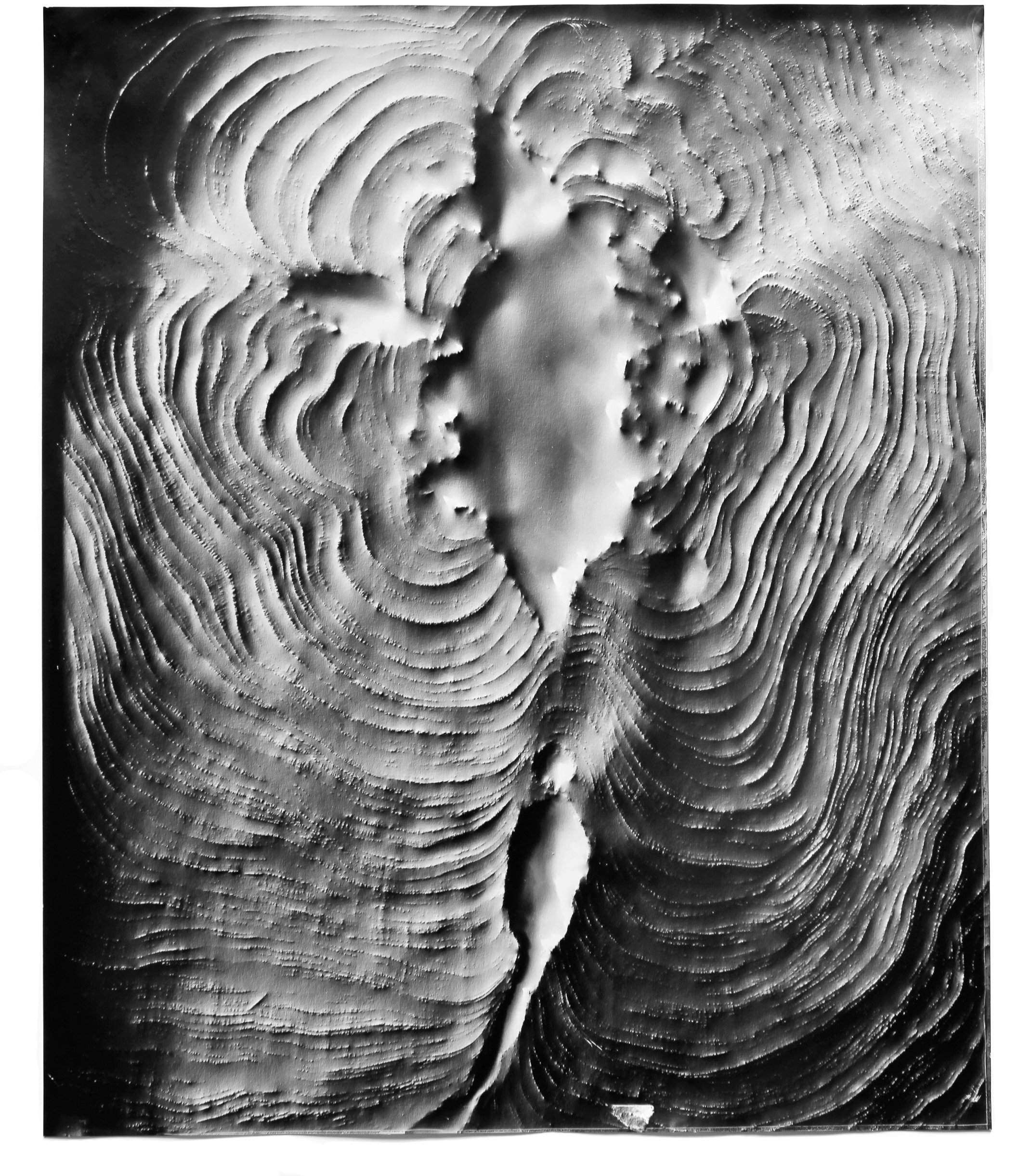   Automatic Earth 95,  2017 Photographic rubbing (embossed silver gelatin photogram) 24 x 20 in 