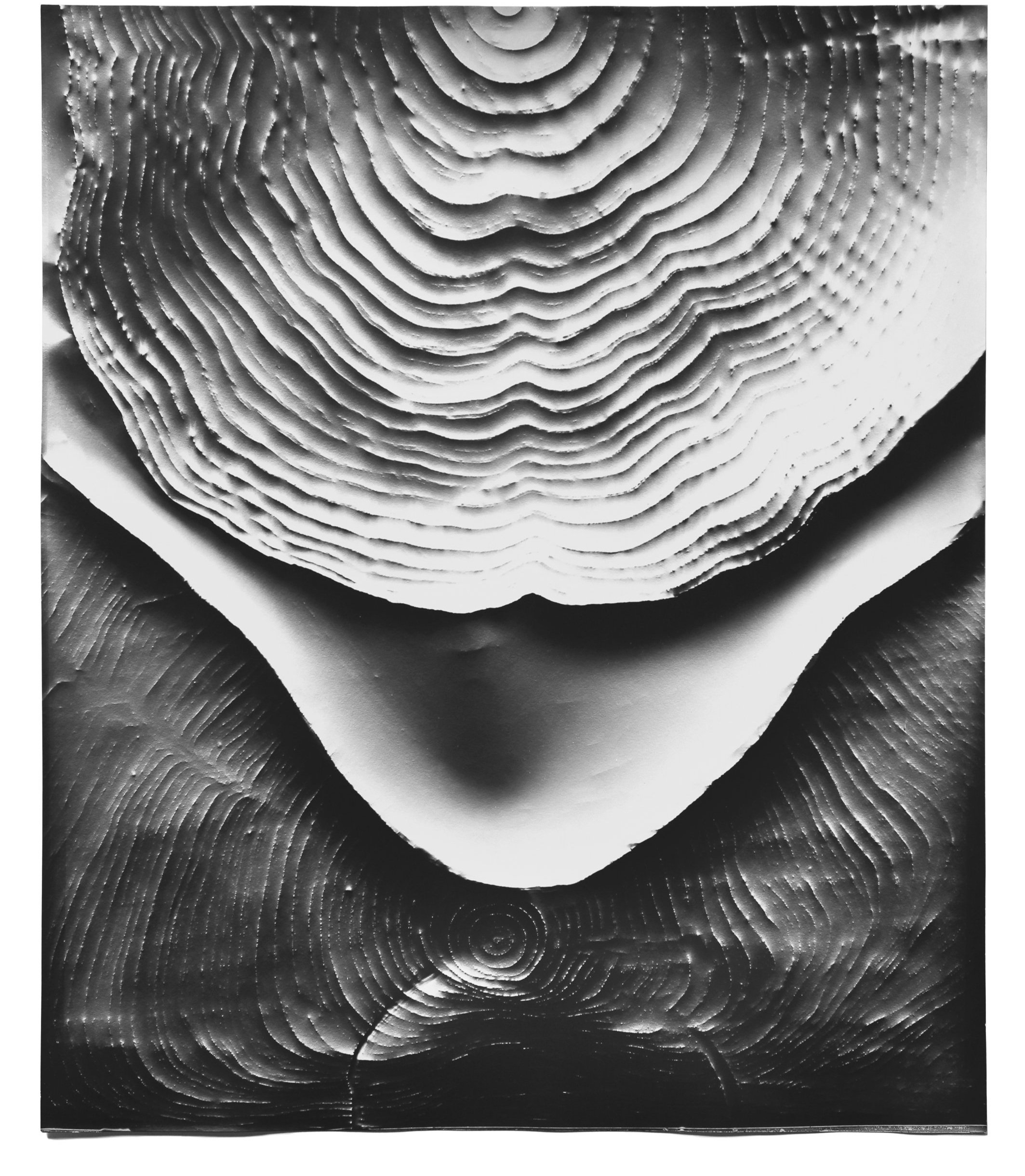   Automatic Earth 26,  2016 Photographic rubbing (embossed silver gelatin photogram) 24 x 20 in 