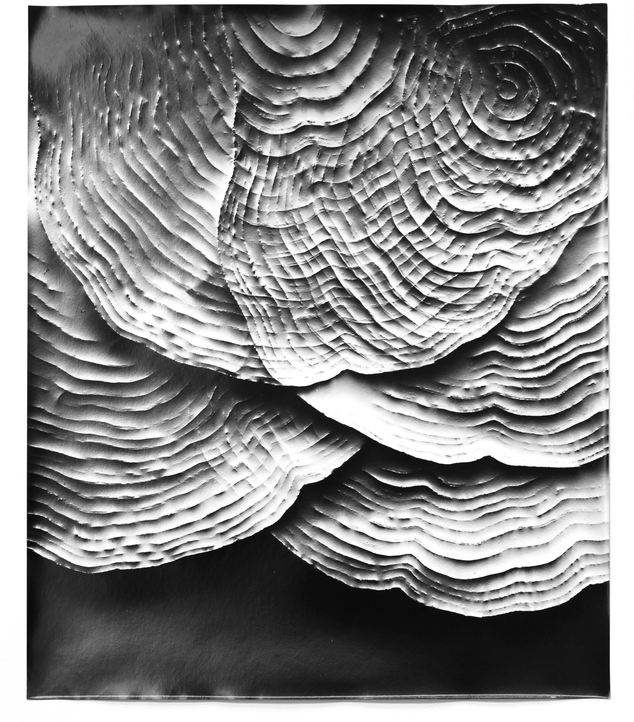   Automatic Earth 92,  2017 Photographic rubbing (embossed silver gelatin photogram) 24 x 20 in 