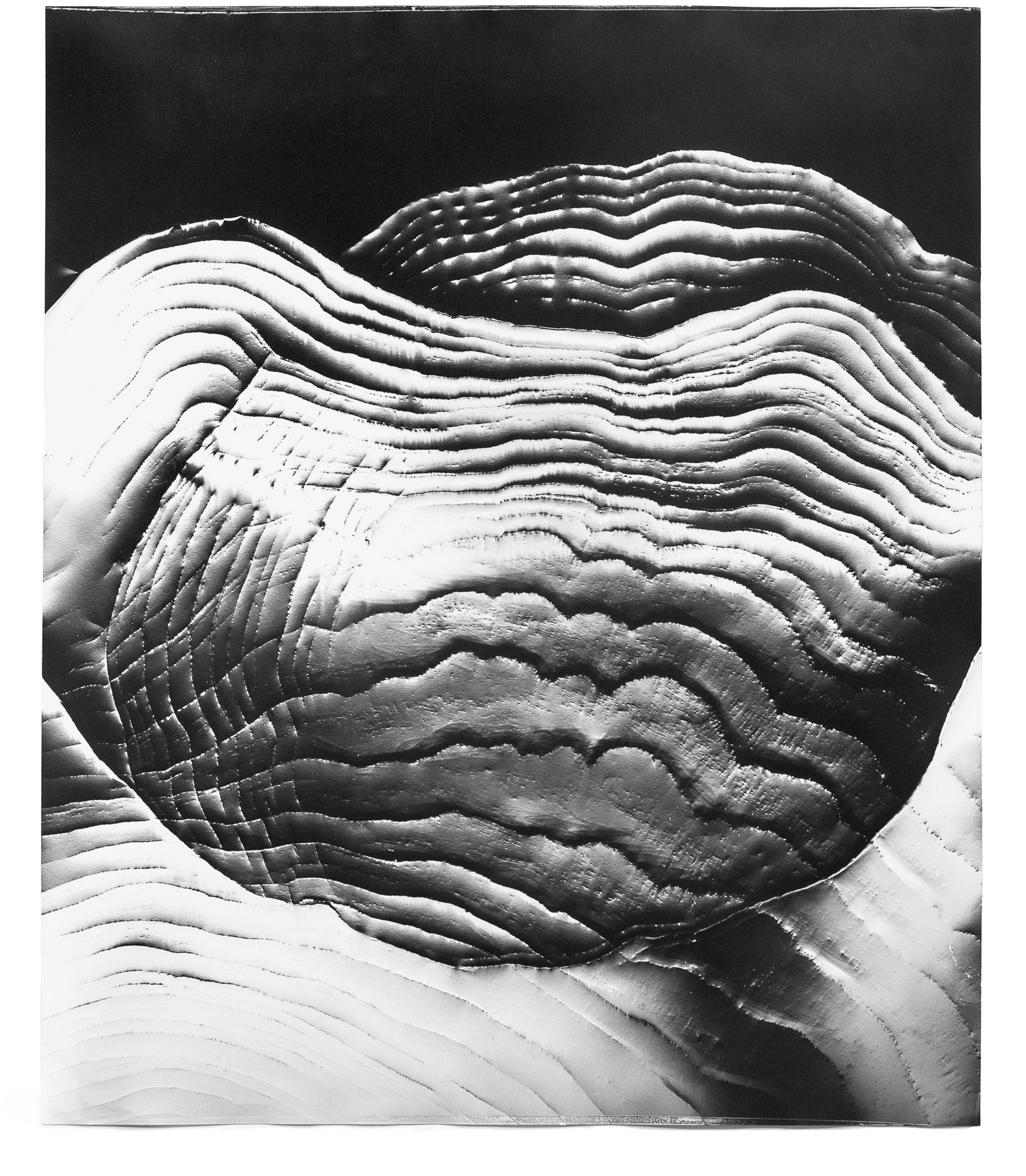   Automatic Earth 32,  2017 Photographic rubbing (embossed silver gelatin photogram) 24 x 20 in 